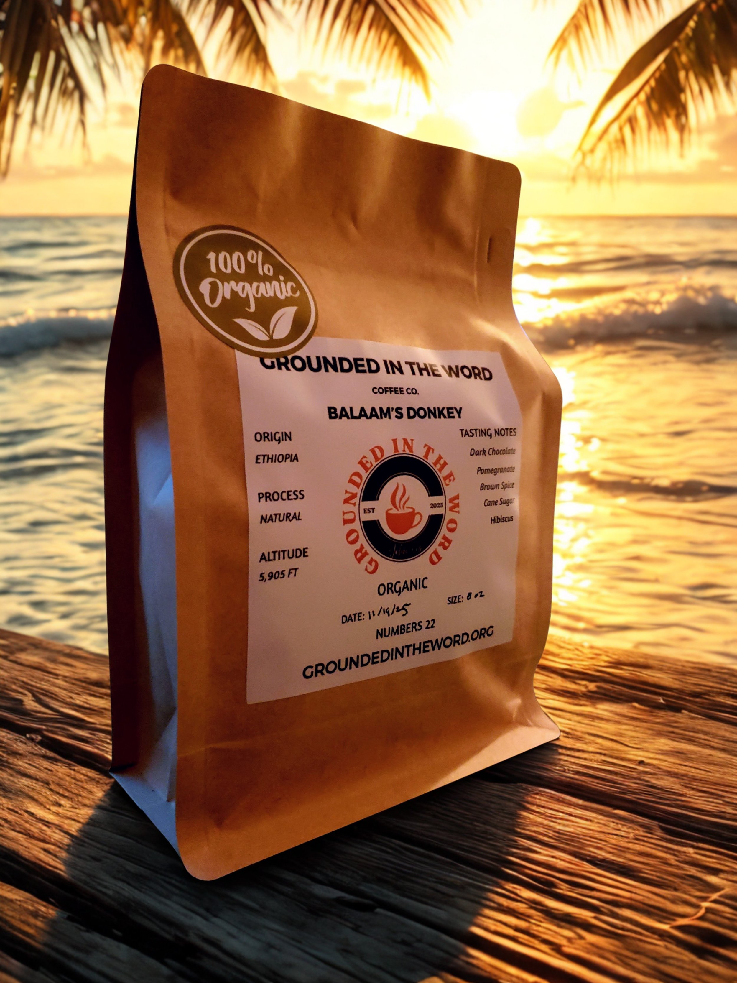 balaams donkey r side to canva to WS.jpg