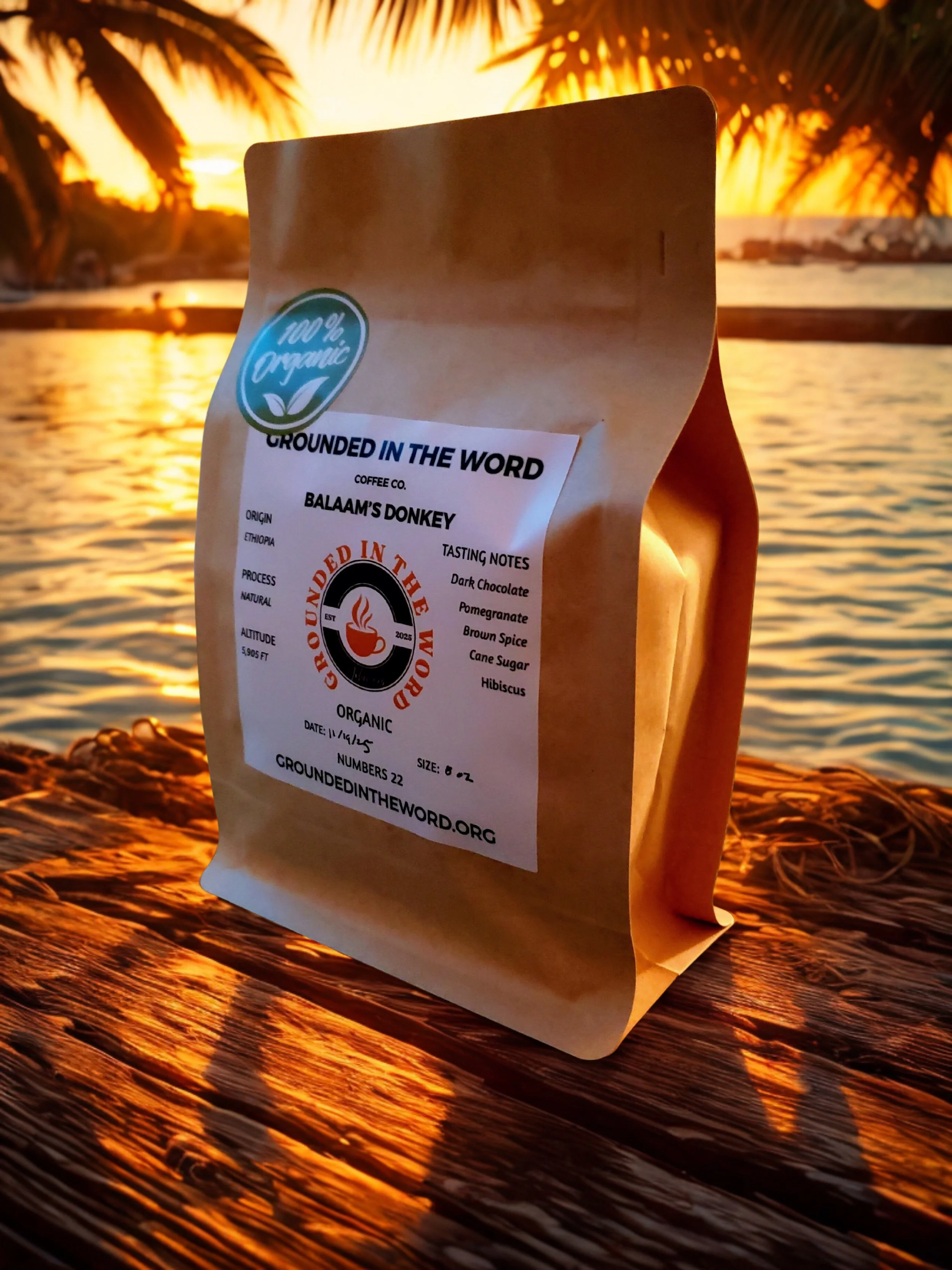 balaams donkey l side to canva 2 WS.jpg