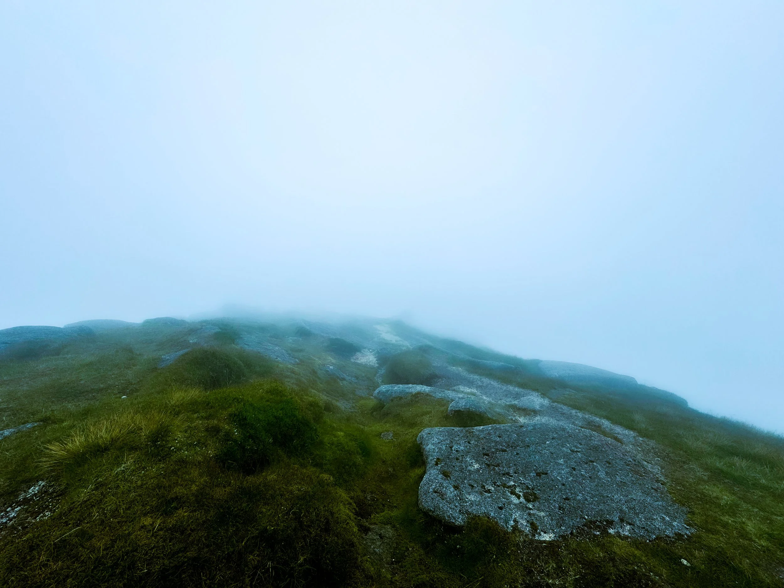Arran_Goatfell_Heather_a25.jpg
