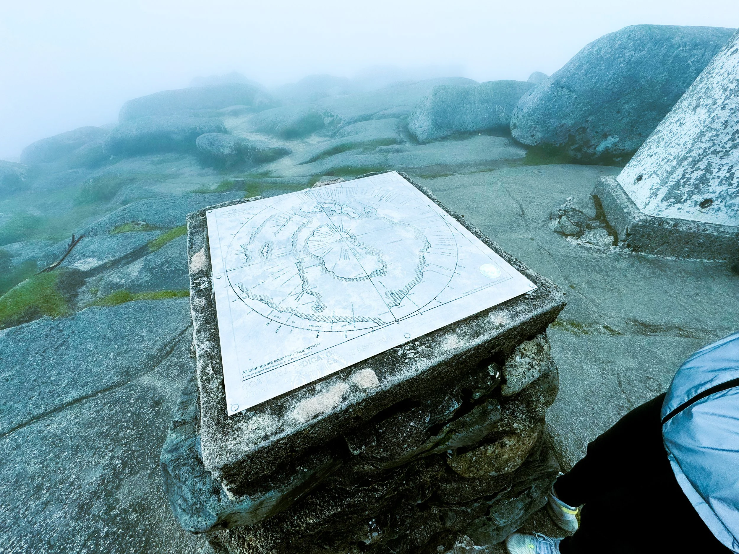 Arran_Goatfell_Heather_a24.jpg