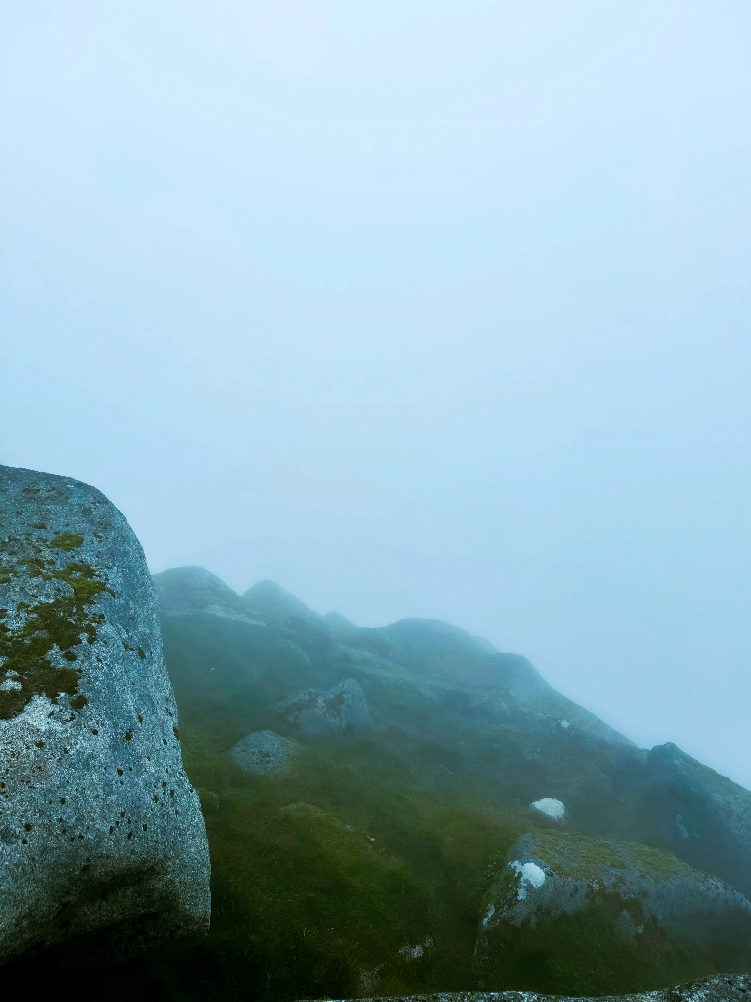 Arran_Goatfell_Heather_a23.jpg