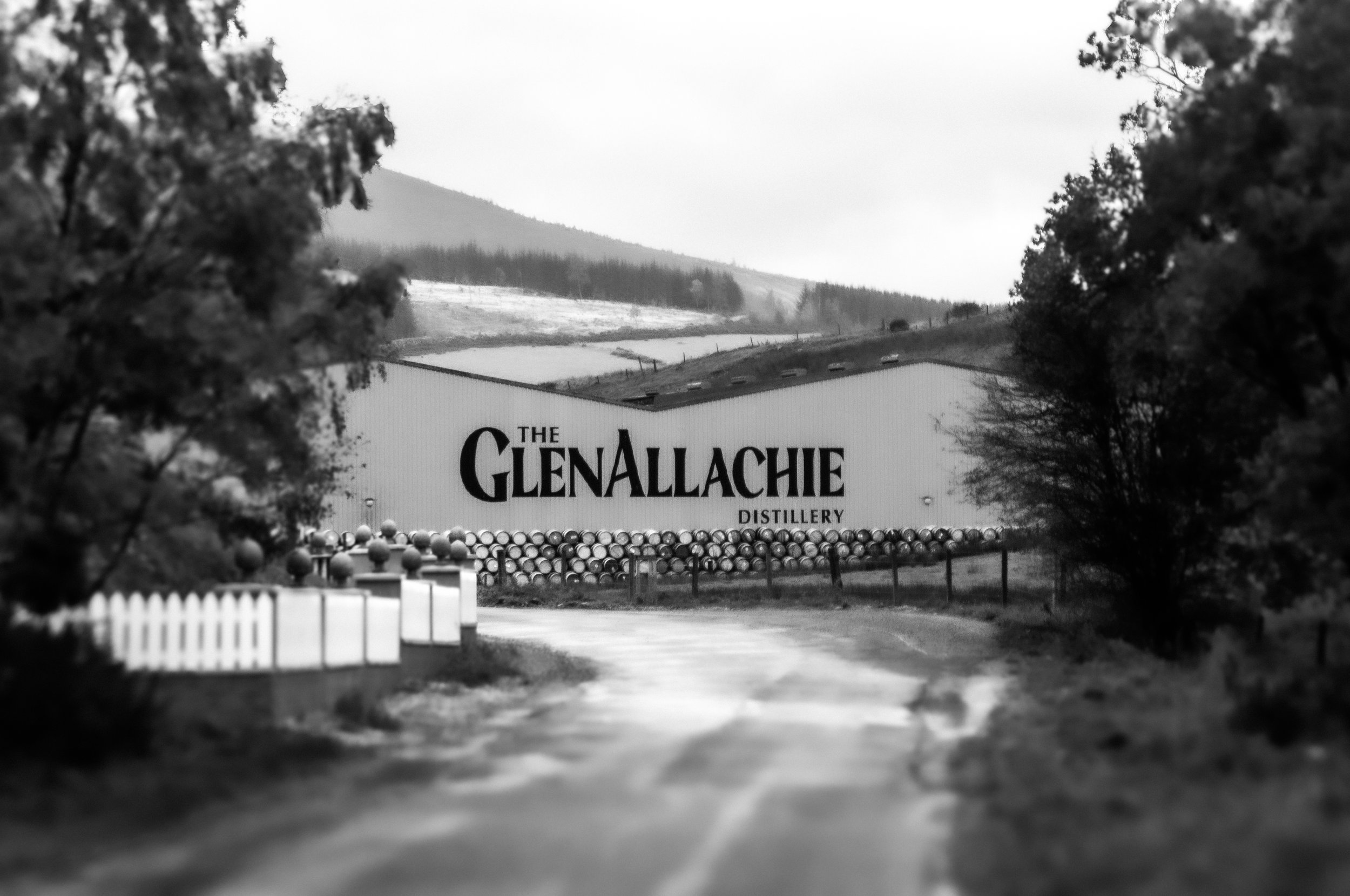 The Faith in the Cask, GlenAllachie