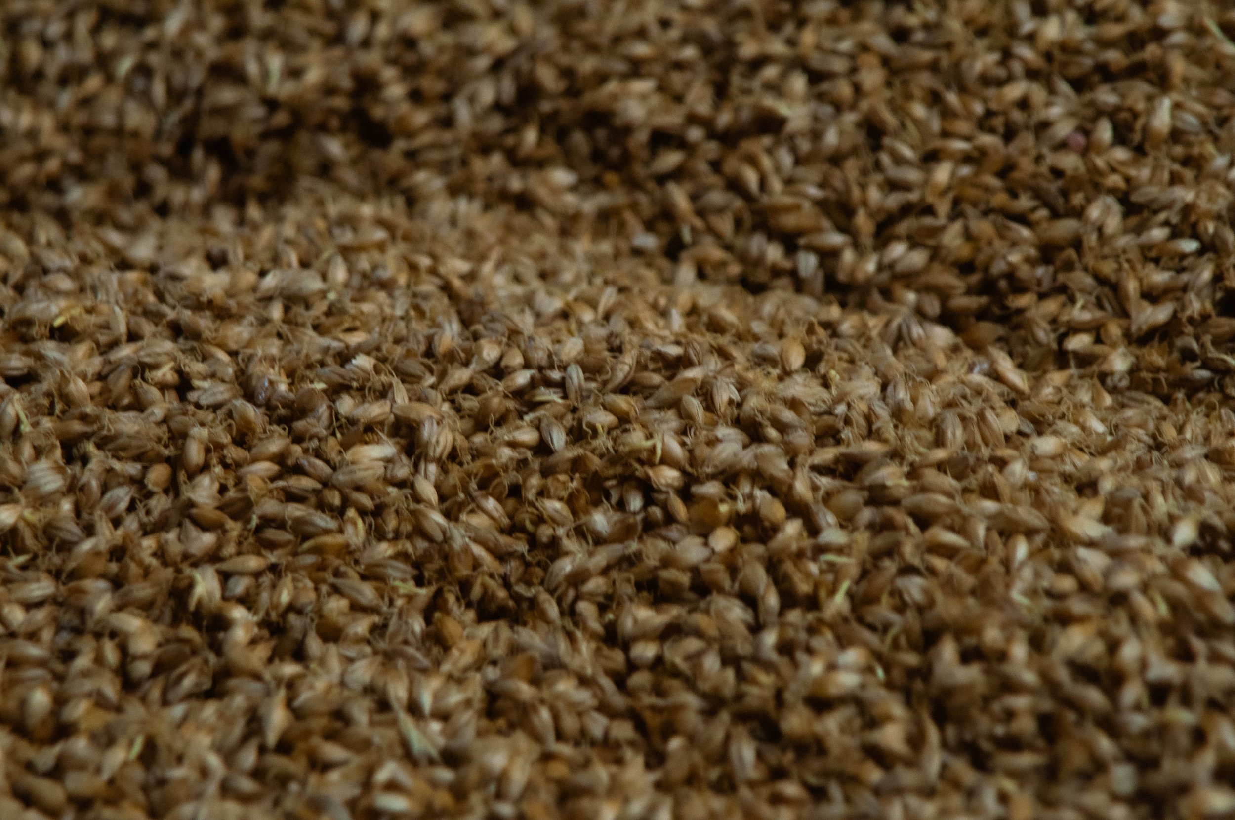 The Malt Hunter_Bowmore_b9.jpg