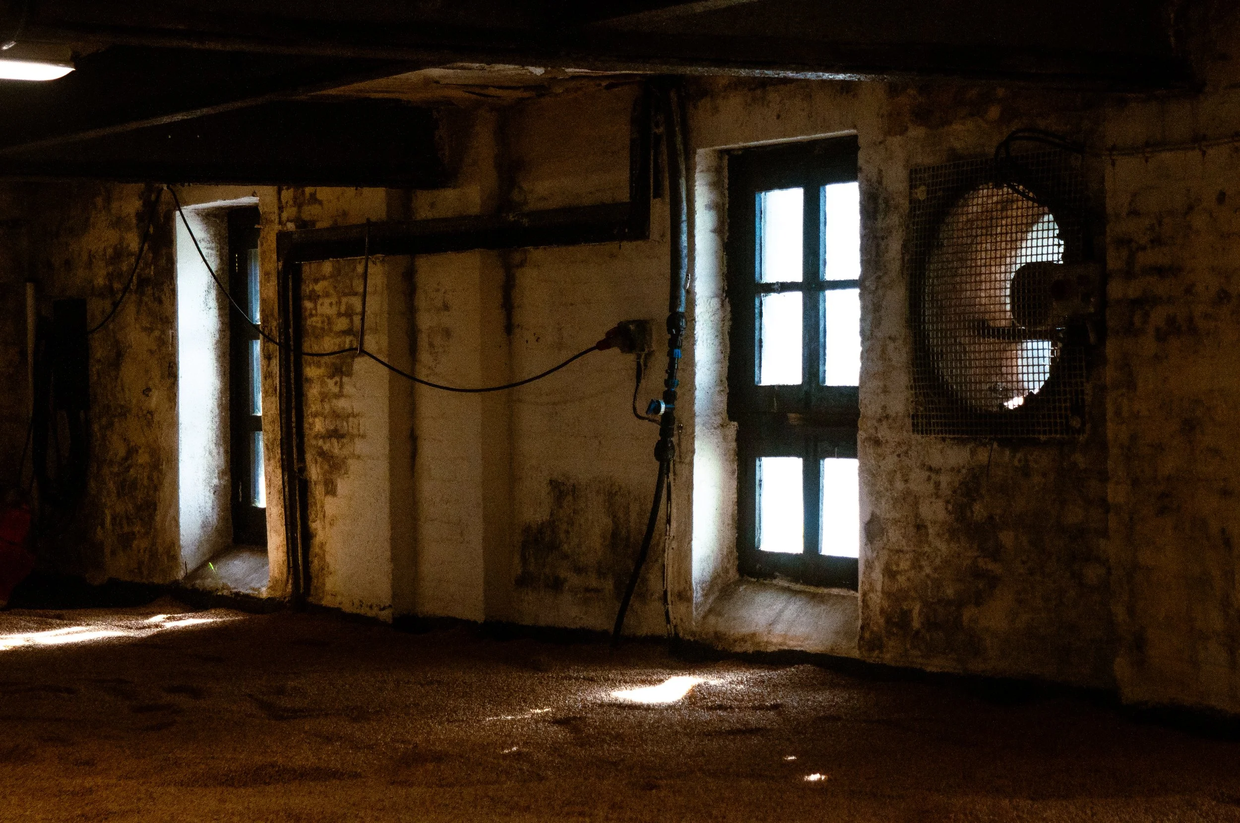 The Malt Hunter_Bowmore_b11.jpg