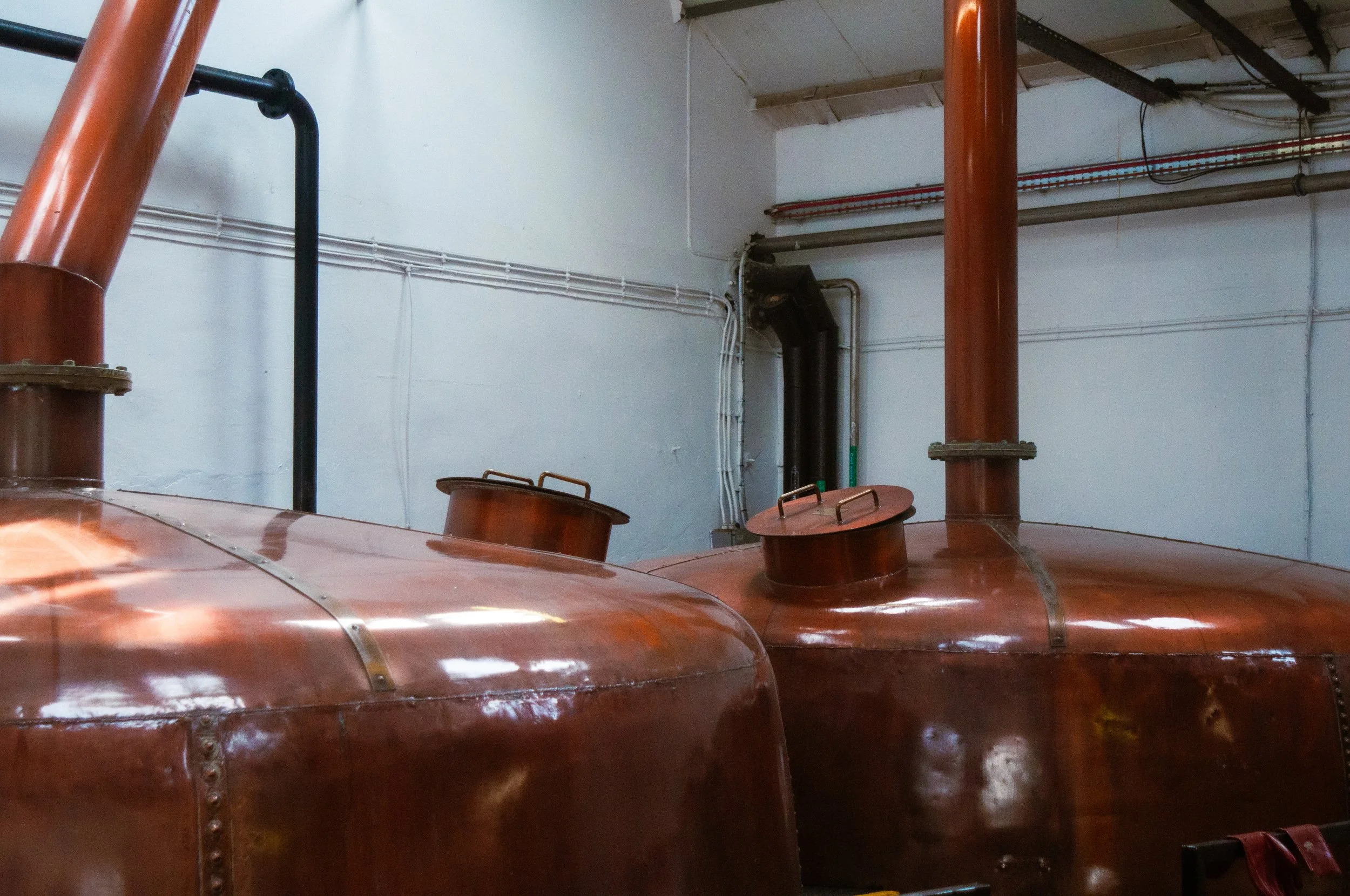 The Malt Hunter_Bowmore_b14.jpg