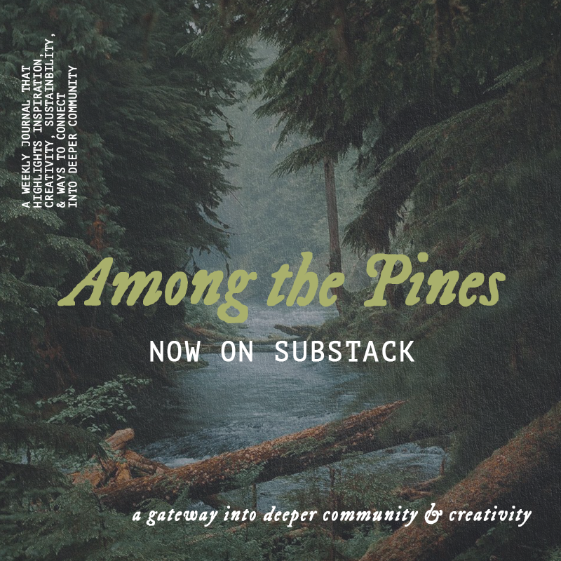 Among the pine intro.png