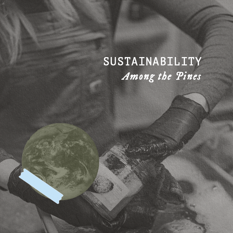 Sustainability ATP.png