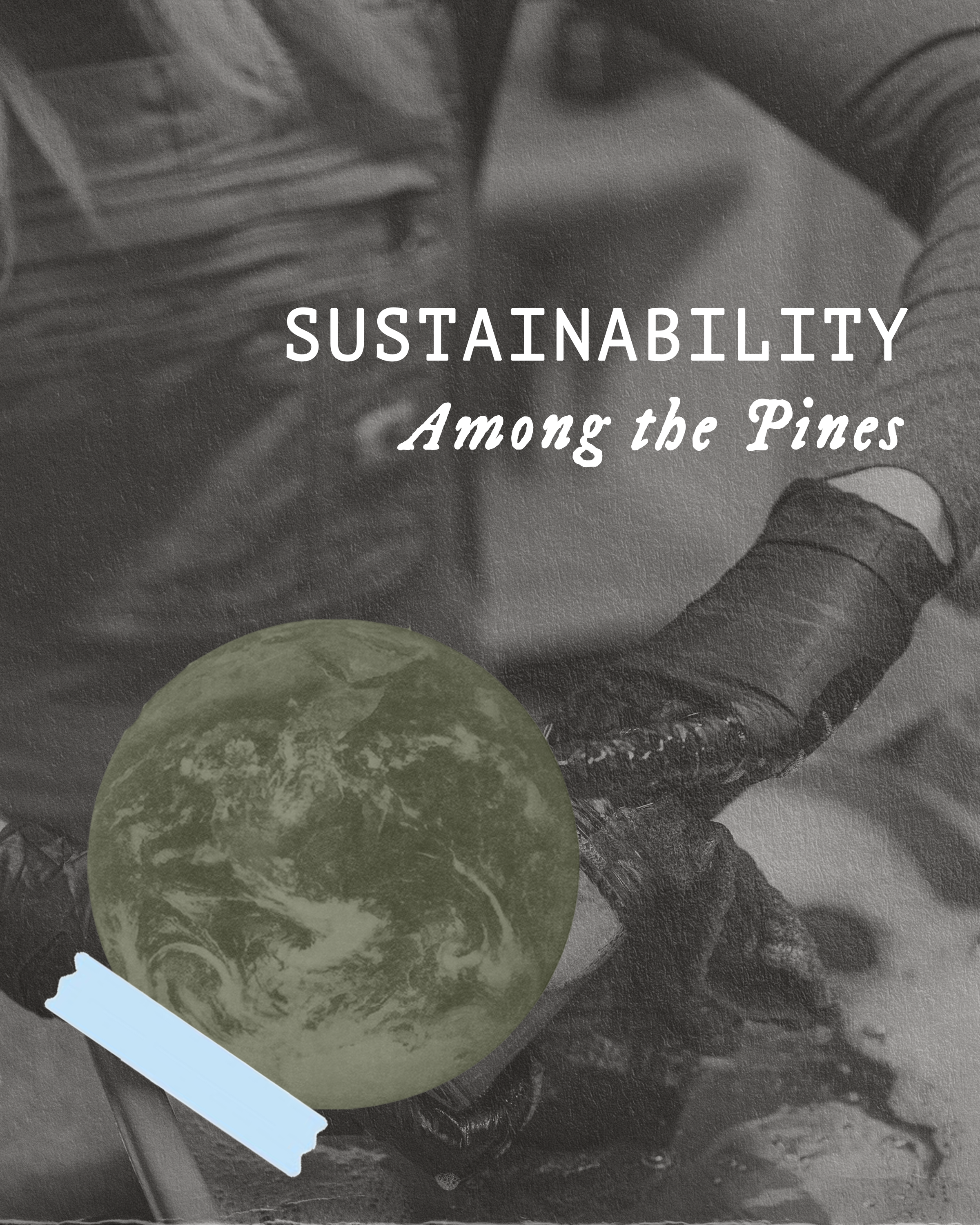 Sustainability BLOG HEADER.png