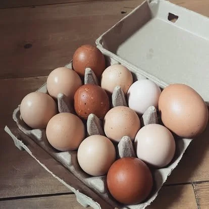 A cardboard egg carton holding twelve eggs, varying in color from brown to white, all on a wooden surface.