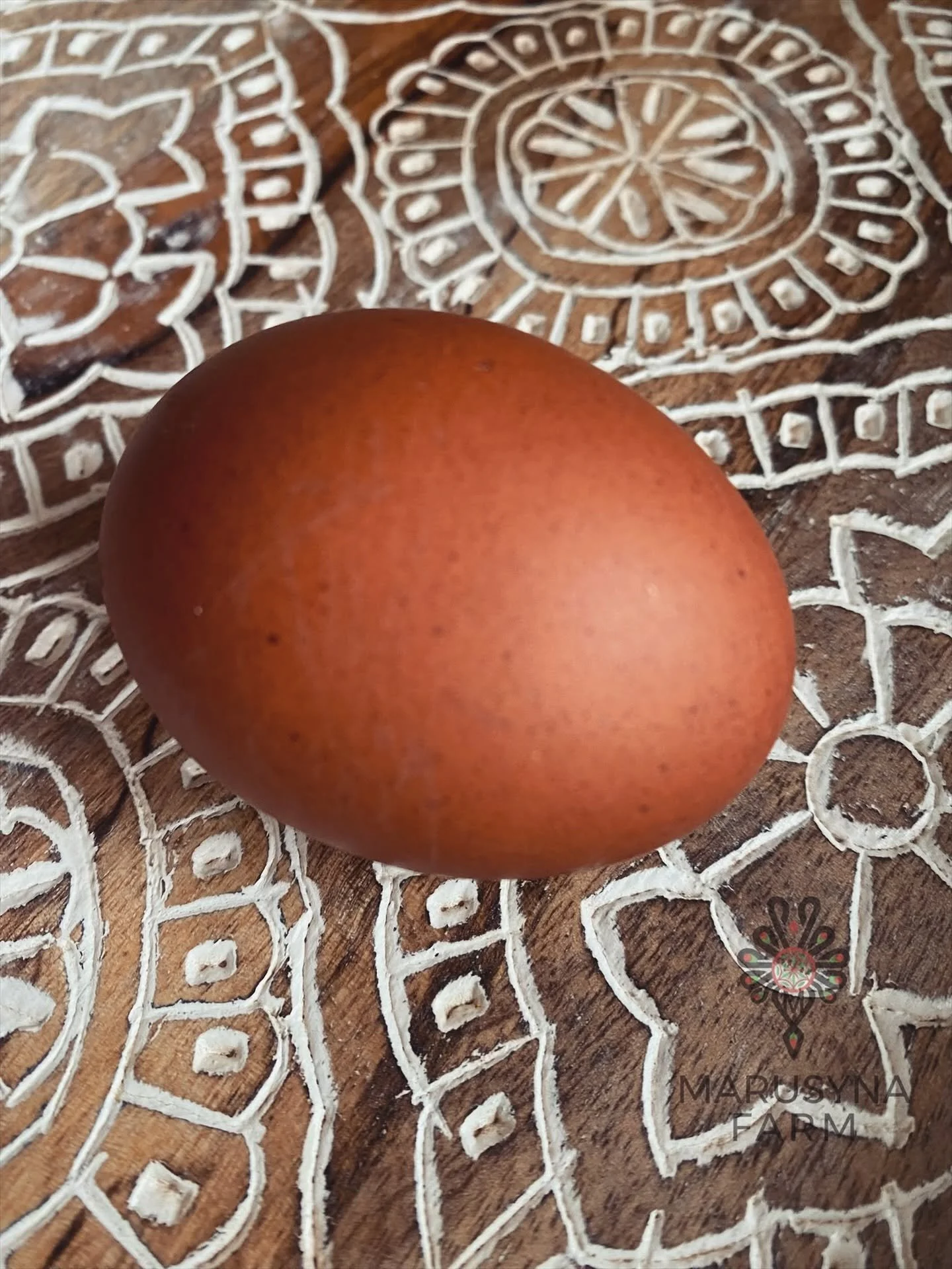 A brown egg resting on a decorative wooden surface with white painted intricate geometric and floral patterns.