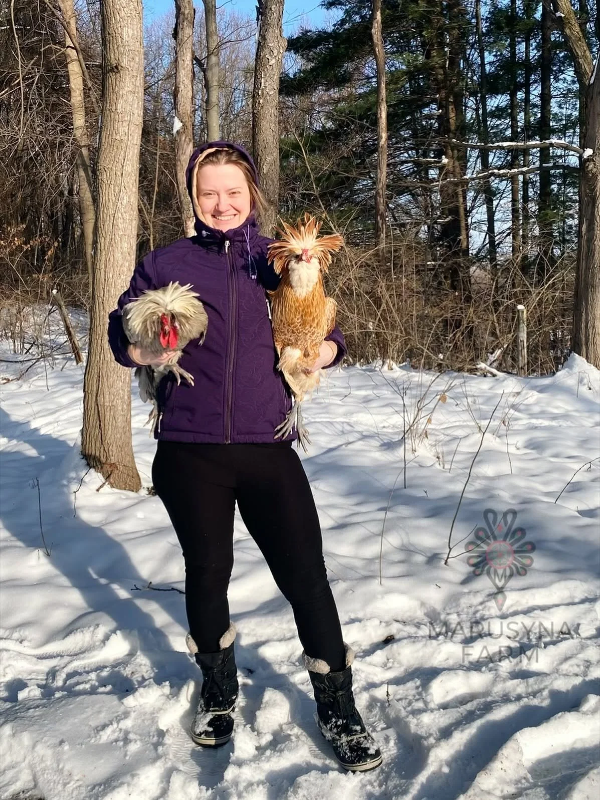 A woman dressed in a purple jacket, black pants, and winter boots, smiling and holding two chickens, standing on snow-covered ground in a wooded area with bare trees.