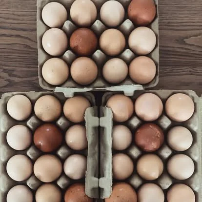 Three cartons of eggs, with a mix of white and brown eggs, placed on a wooden surface.