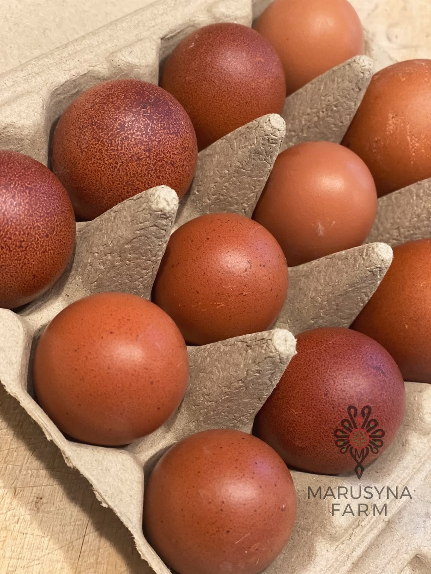 Eggs in a cardboard egg carton from Marusyna Farm.