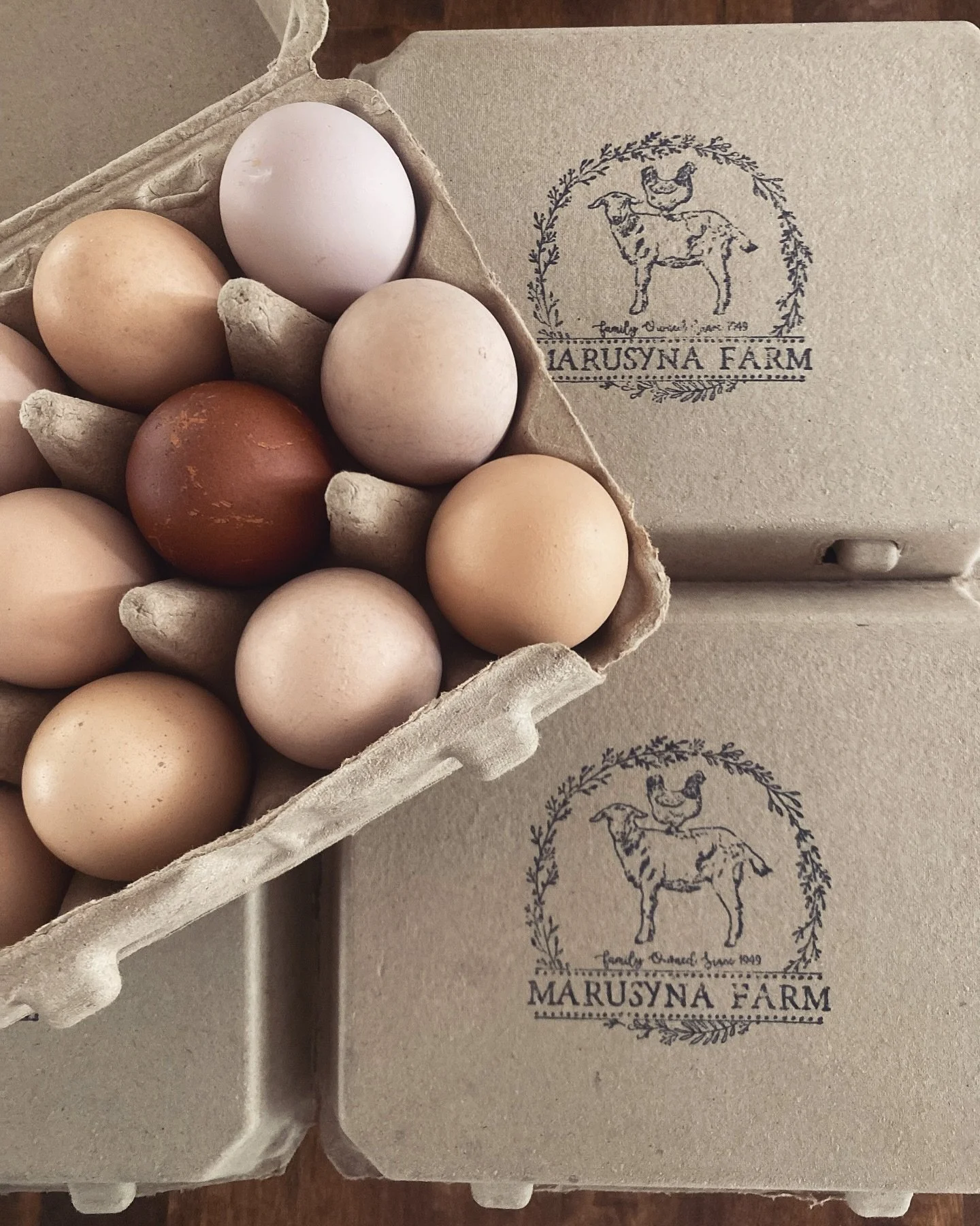 FARM-FRESH EGGS