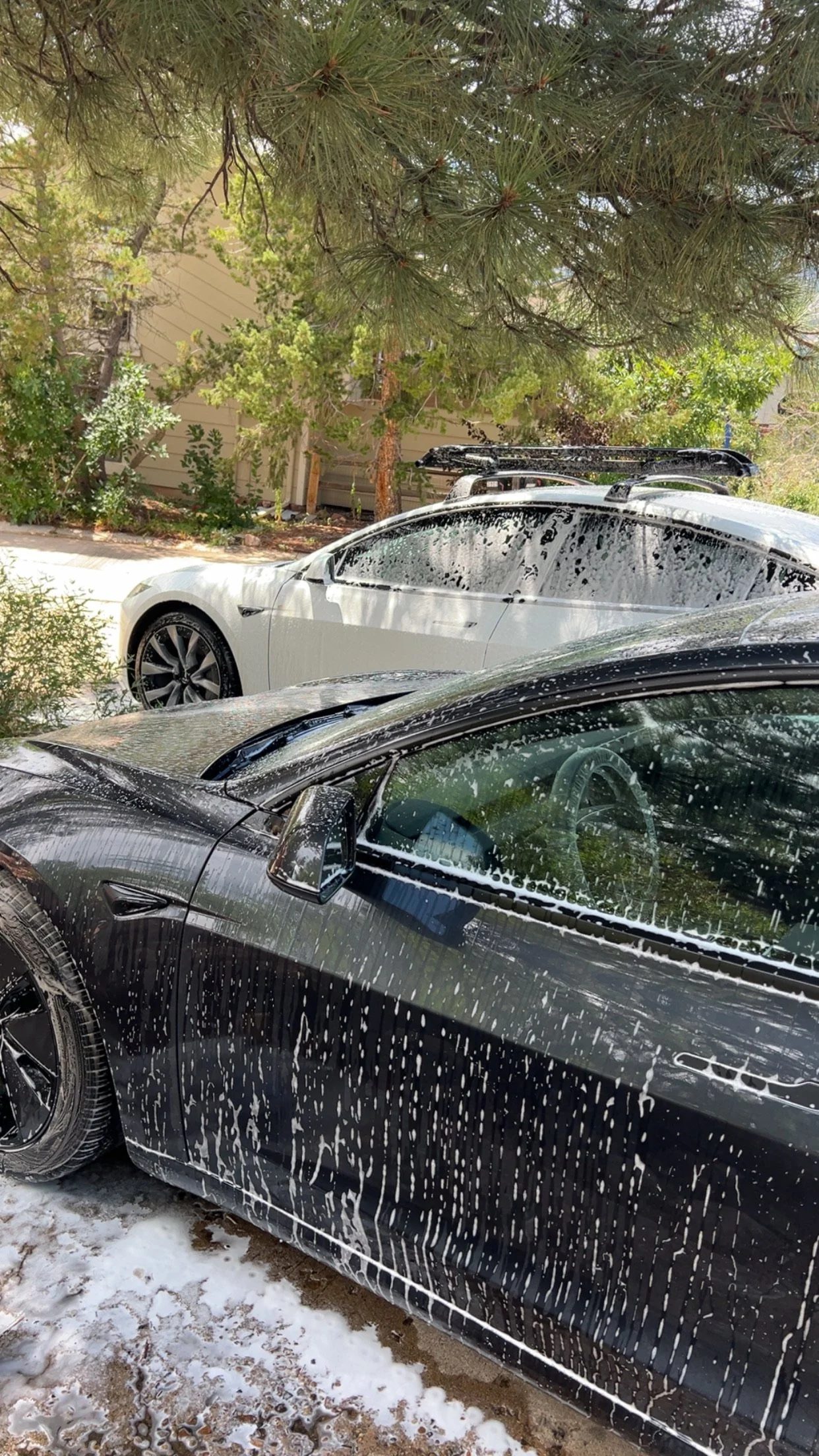 Black Tesla Model 3 covered in soap suds, parked outdoors next to a white Tesla Model 3 also soaped up, with soap suds on their windows and bodies. A pine tree and some bushes are visible in the background.