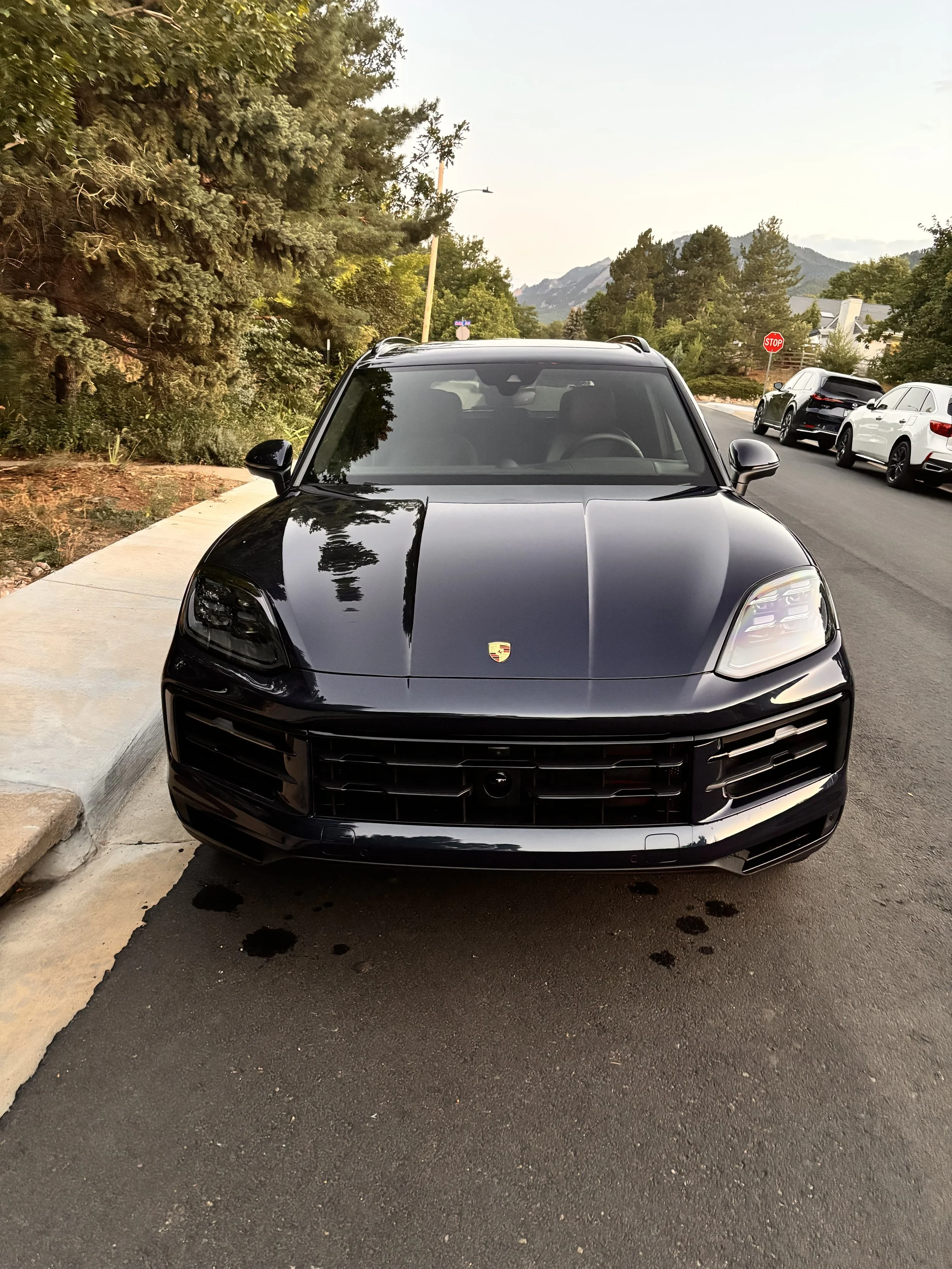 Front view of a black Porsche SUV parked on the side of a street, with trees and mountains in the background.