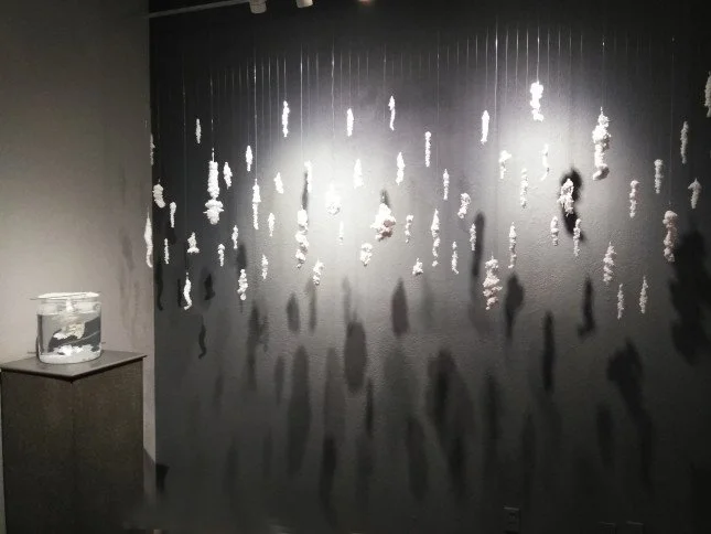 ASeaChangeD.Duarte-645x484.jpg