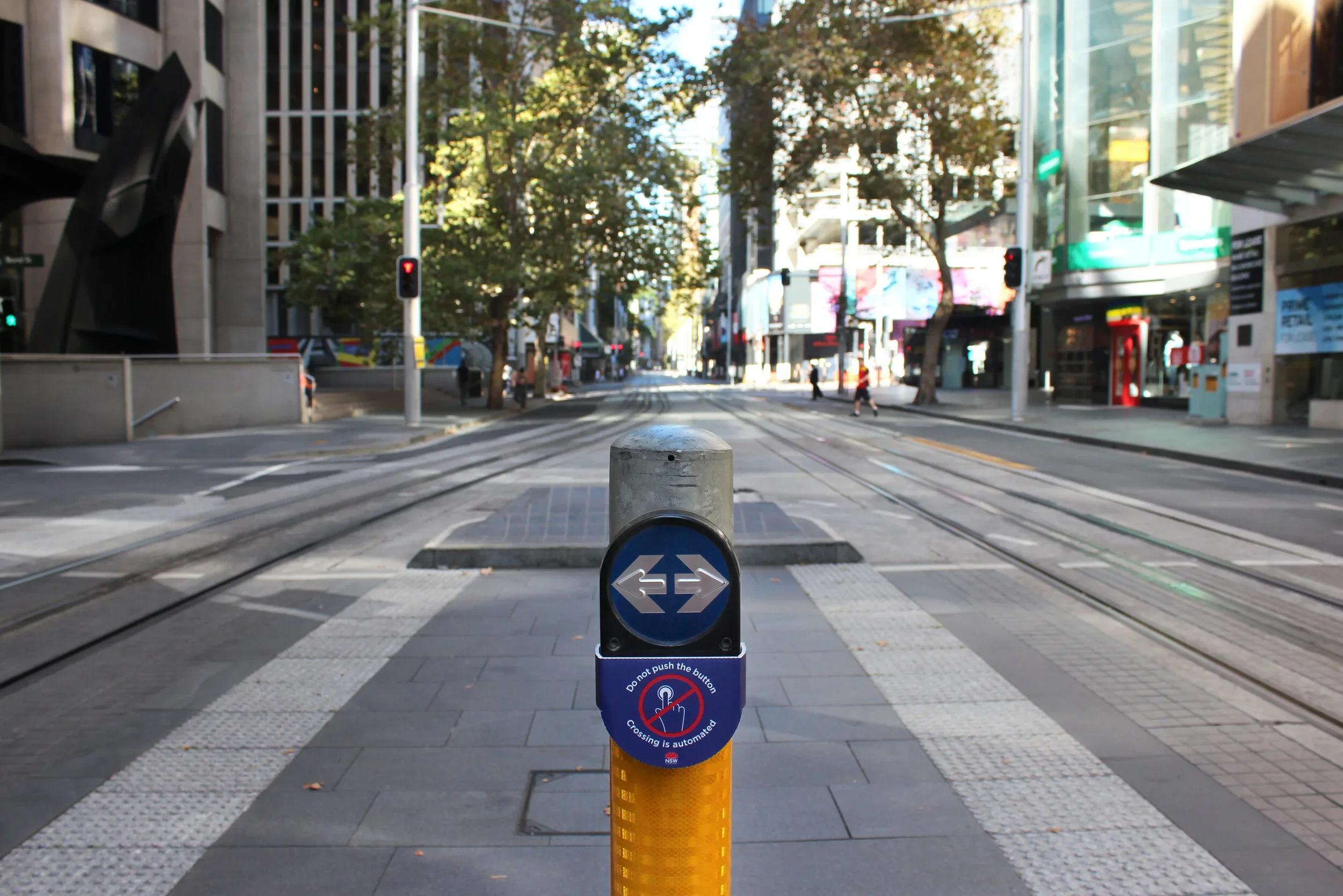 Then Came a Pandemic: