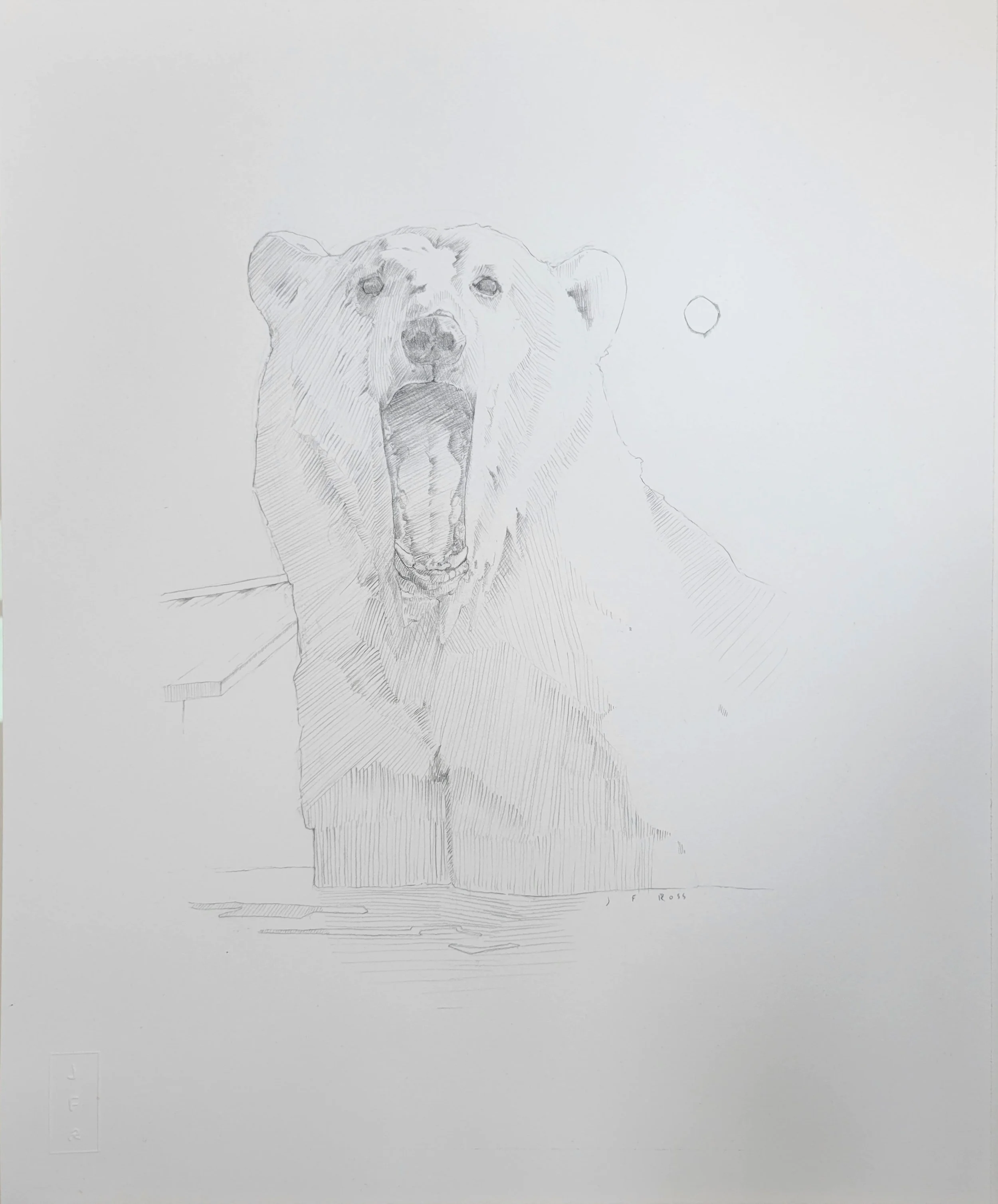Sold. Bear
