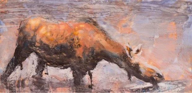 Sold. Moose Study C