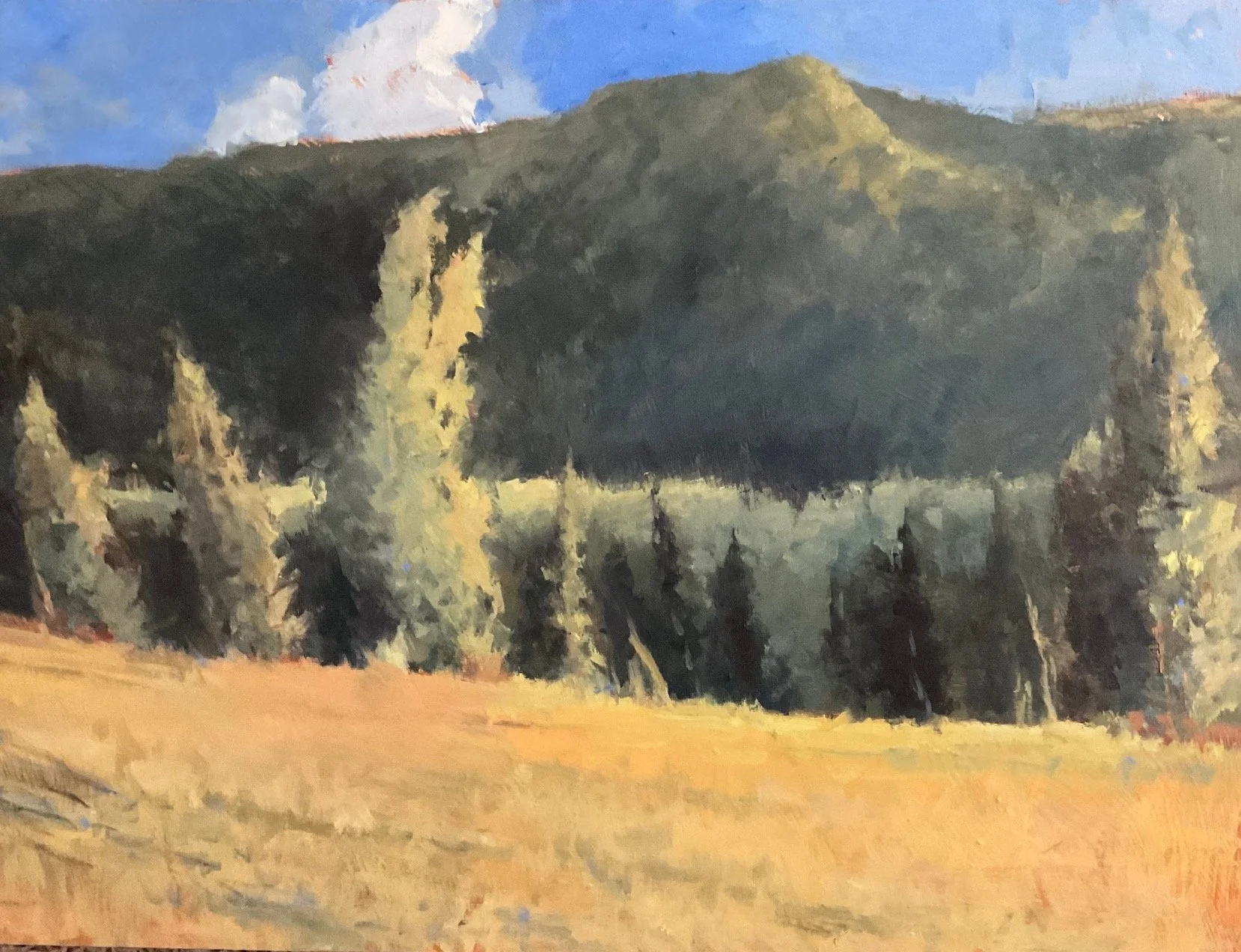 ’Morning Sun’ 18x24" framed -Oil on 1:8” birch panel 2025 $2170.jpeg