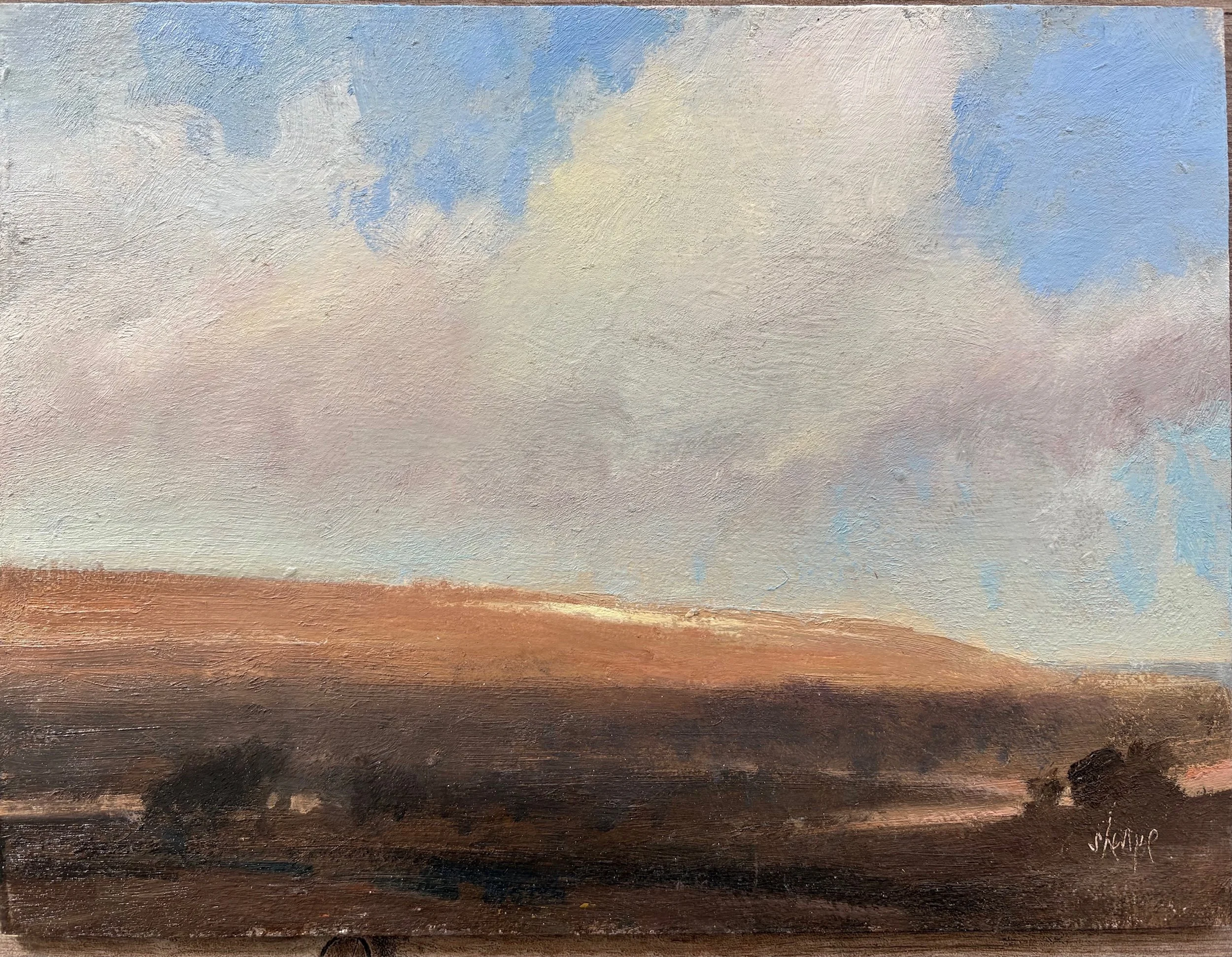 Last of the Snow, 9x12" Oil on Board, $850.jpeg