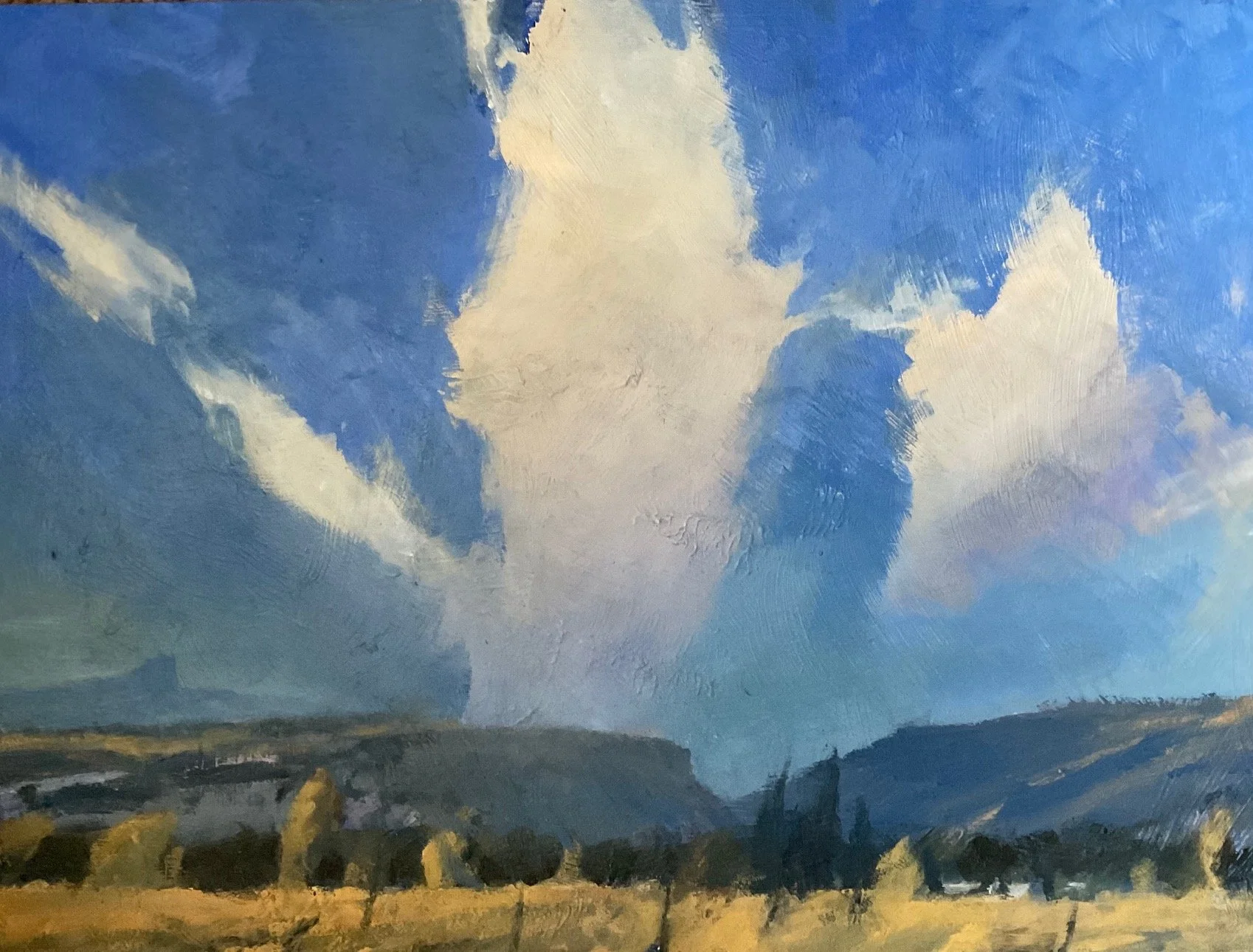 ‘Front Range Clouds’-12x16" framed Oil on1:8”birch panel 2025 $1270.jpeg