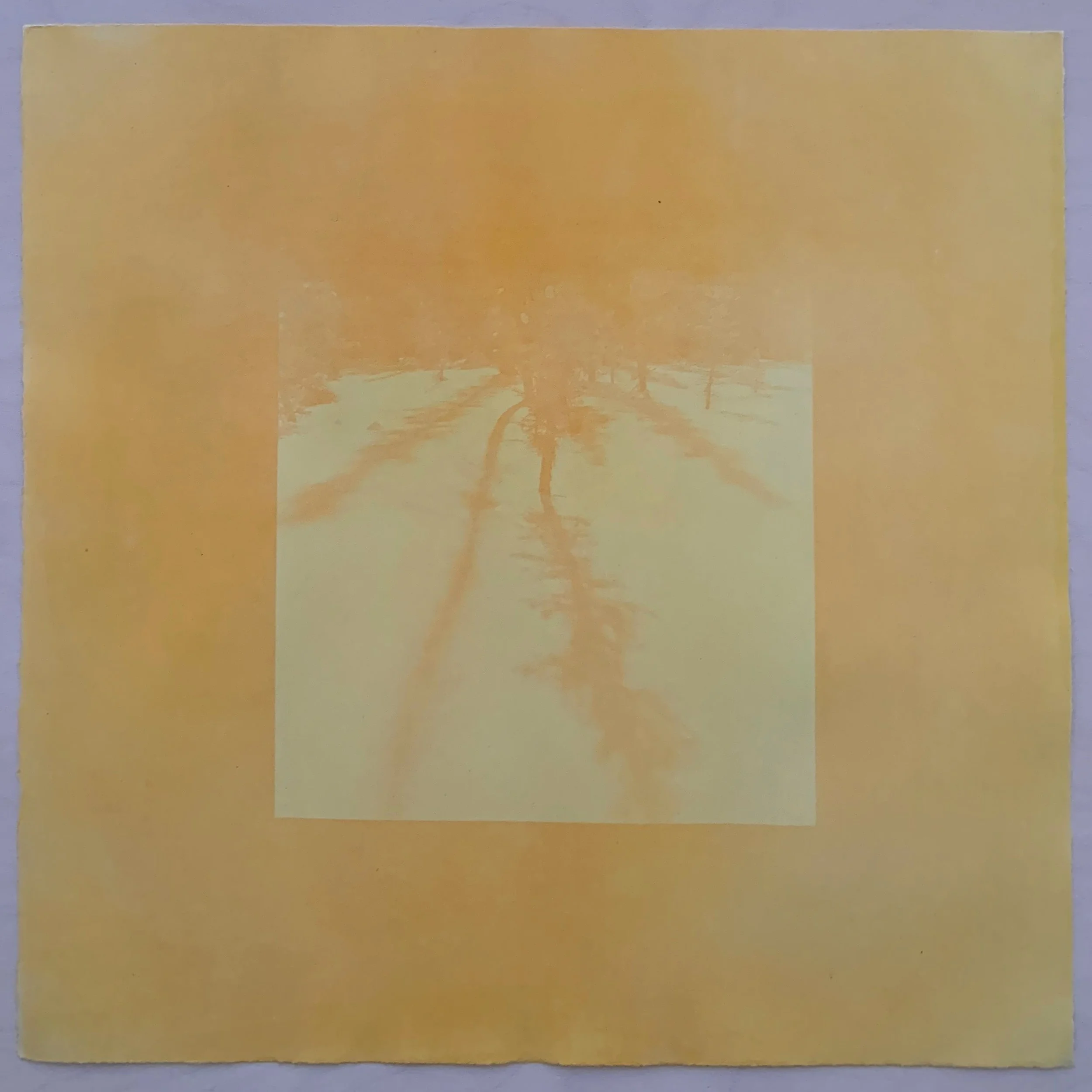 Metadata 15.75" x 15.75" (20" x 20" framed) SolarFast dye on arches paper 2024 $260.jpg