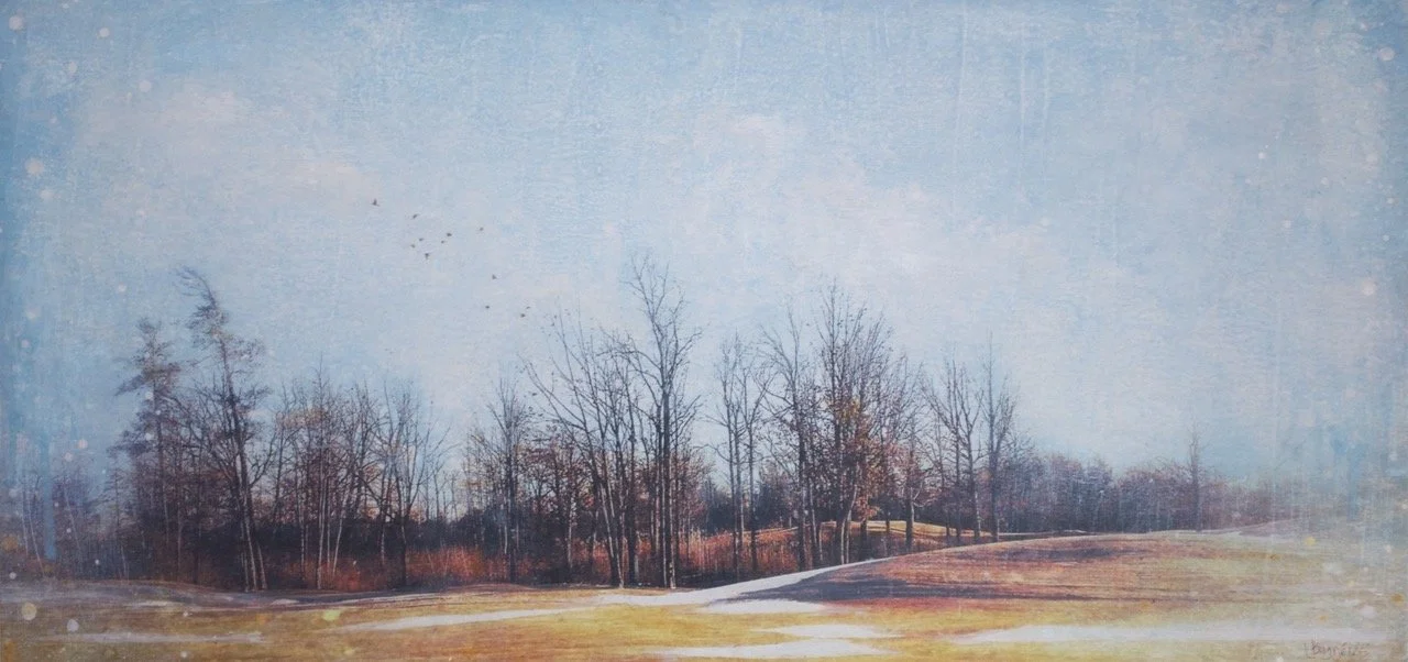 Forest Alchemy 12x25 mixed media on cradled panel $600.jpeg