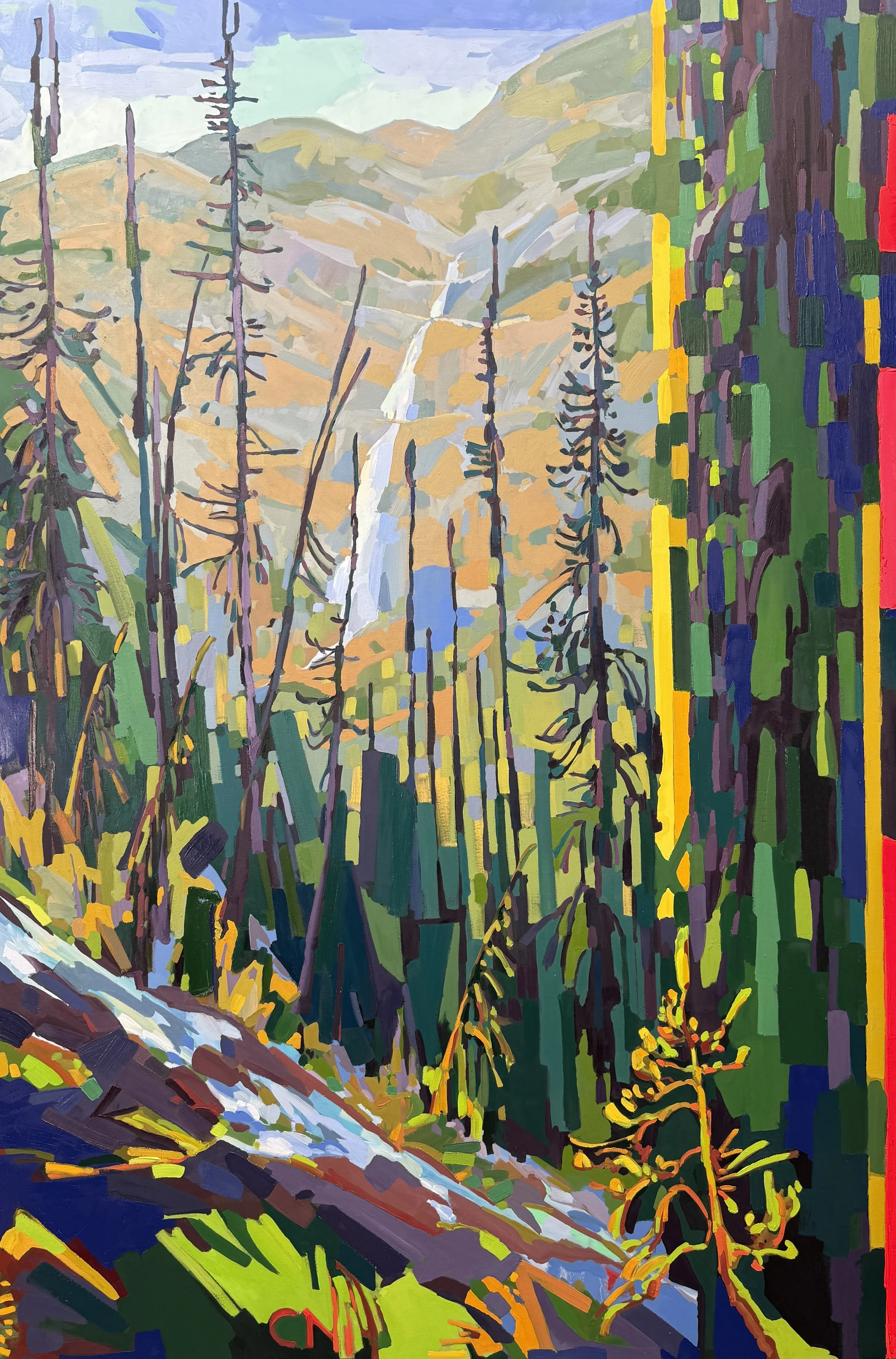Takakkaw Falls, 48x72.jpeg