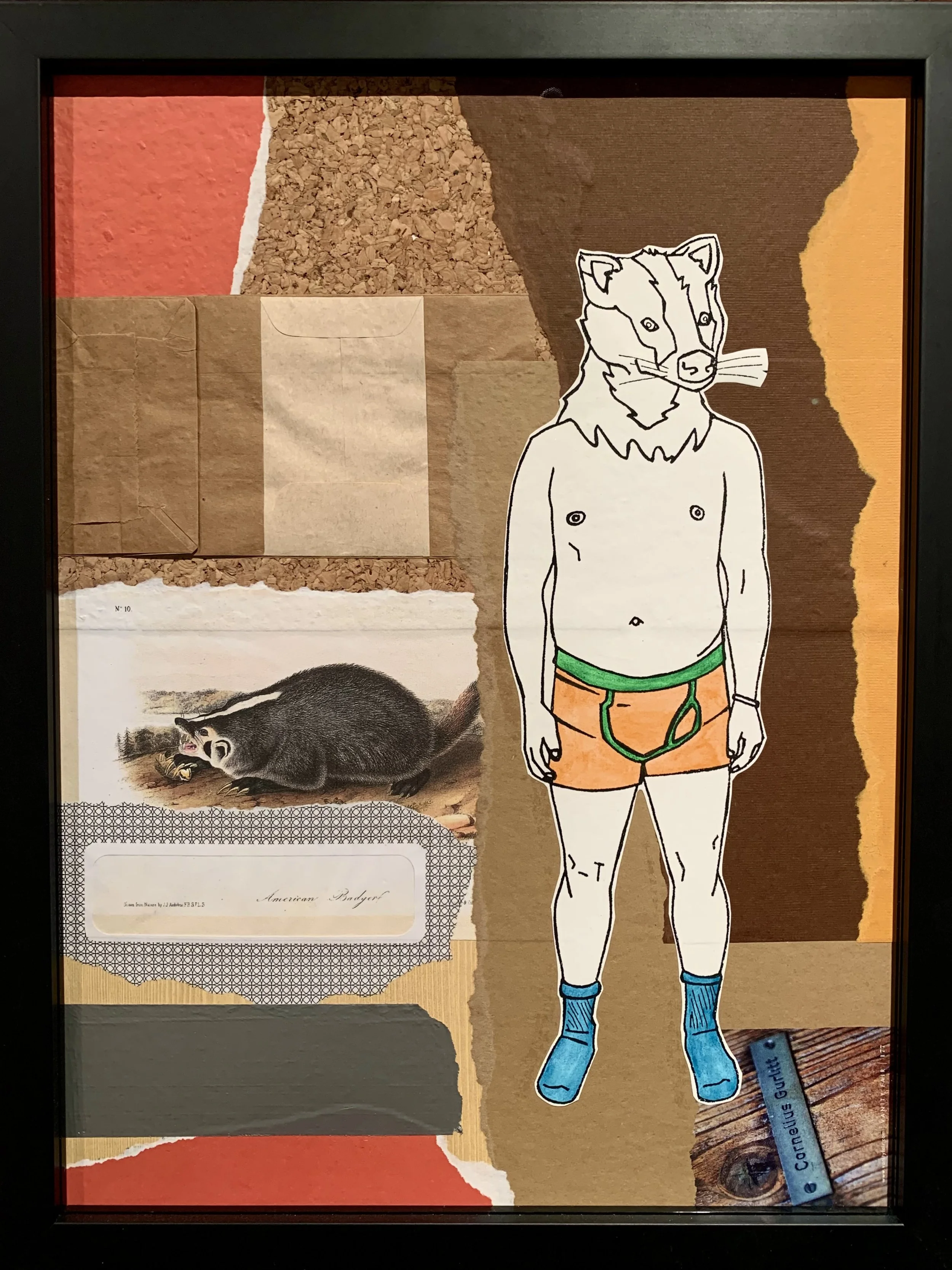 (Atkinsons) Badger Boy, Collage 2, 12" X 16" $400.jpg