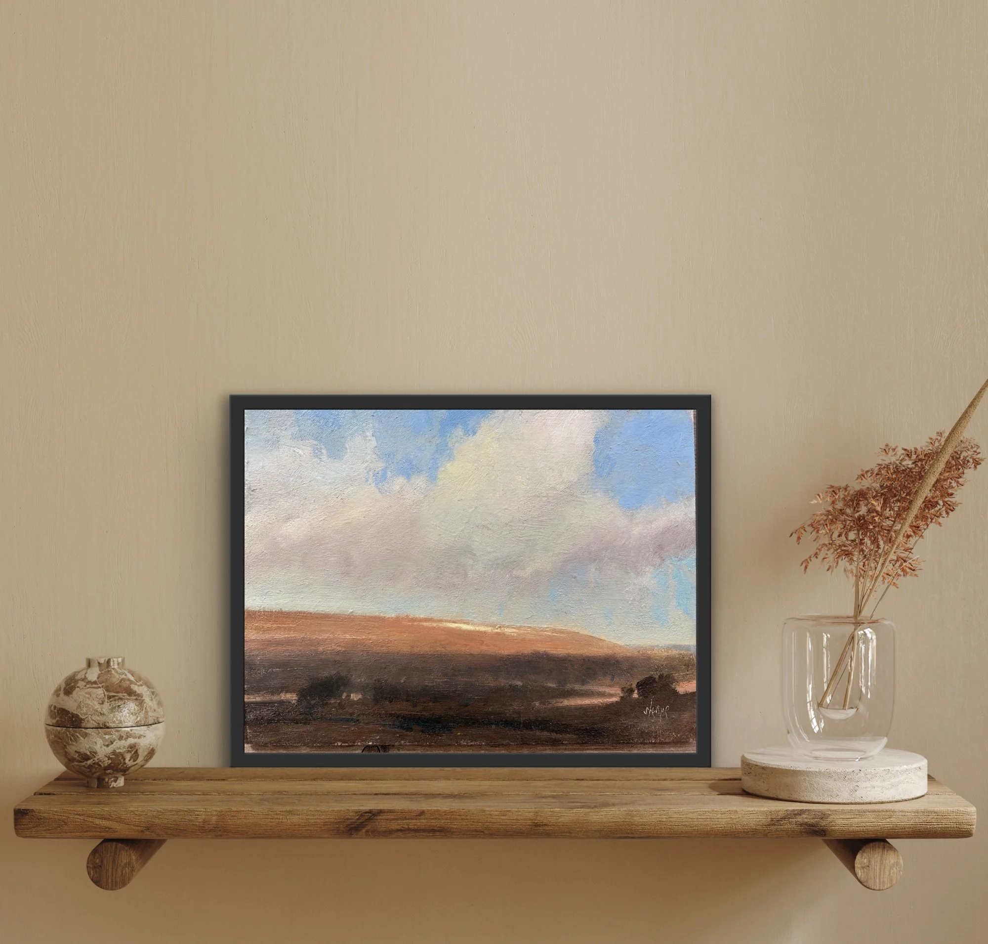 last of the snow a).jpeg