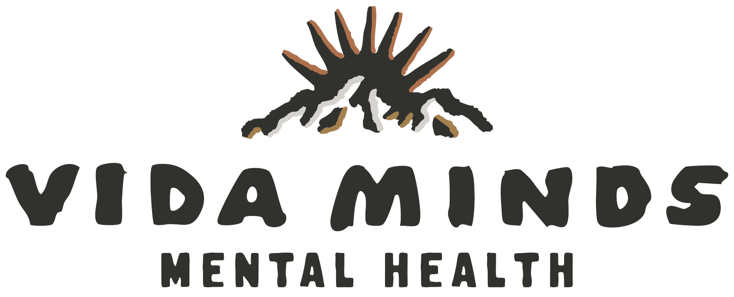VidaMinds Mental Health Center