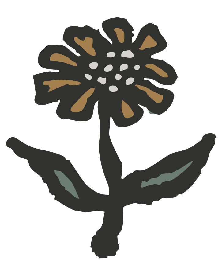 illustration of a sunflower