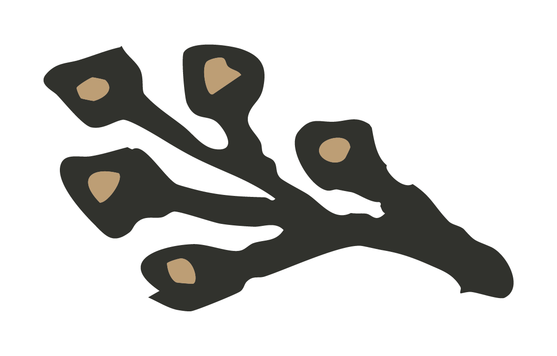 illustration of a branch