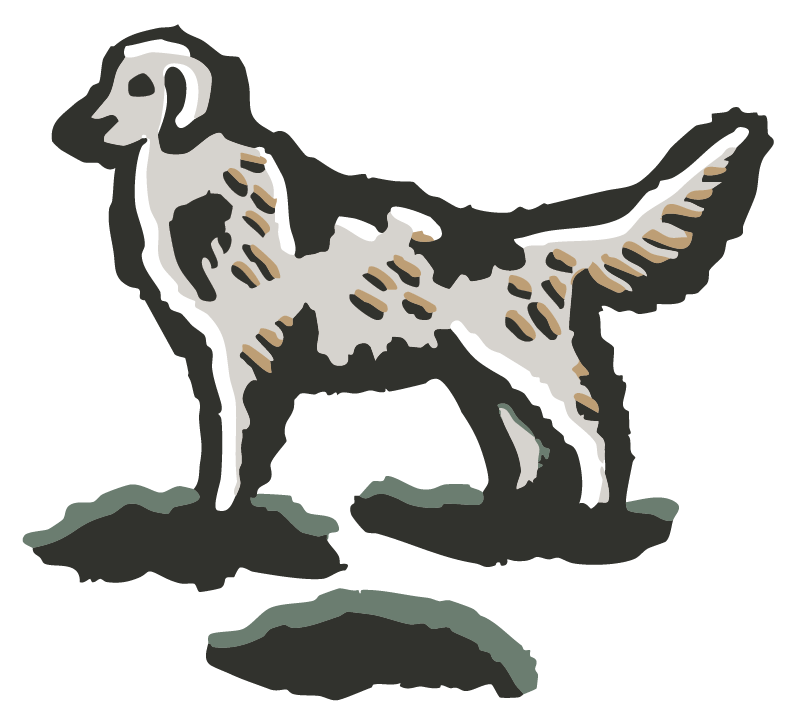 pencil illustration of a lab