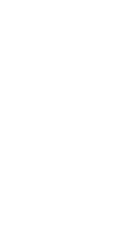 outline illustration of a plant