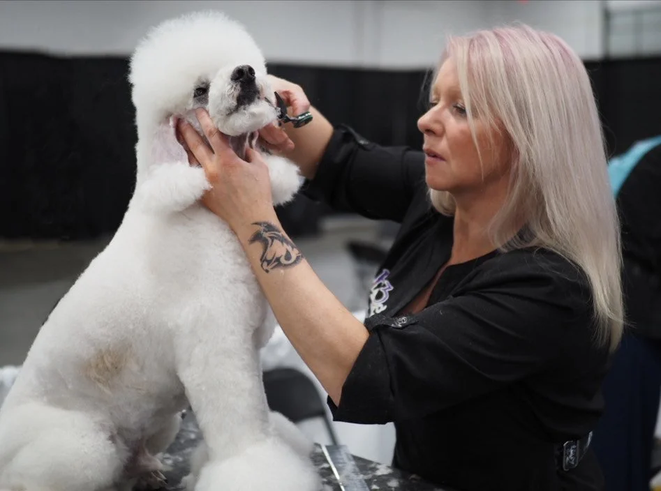 A woman with platinum blonde hair grooming a fluffy white dog, likely at a grooming or veterinary facility.