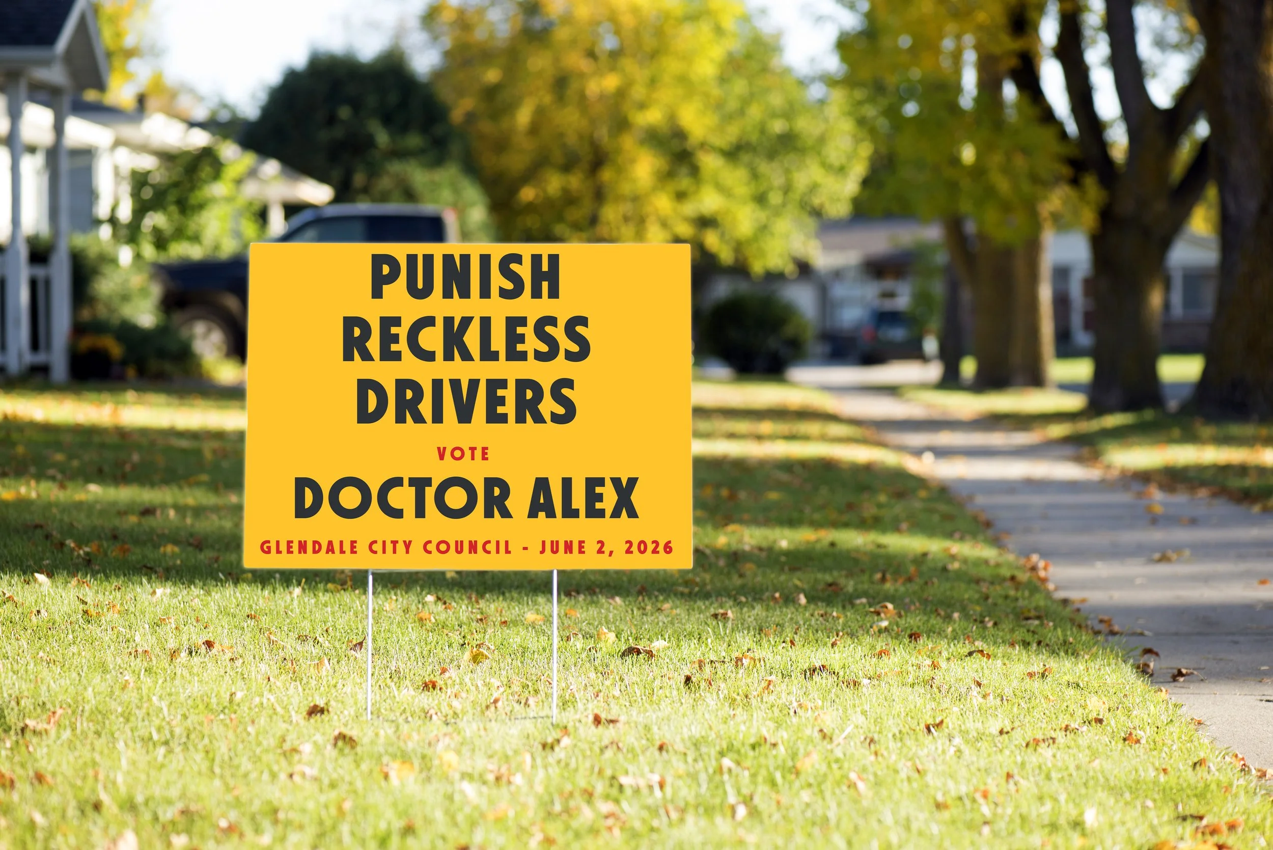 Punish Reckless Drivers Wide.jpg
