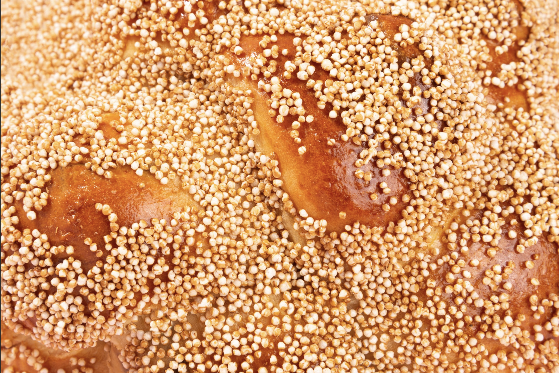 Close-up of baked bread topped with sesame seeds.