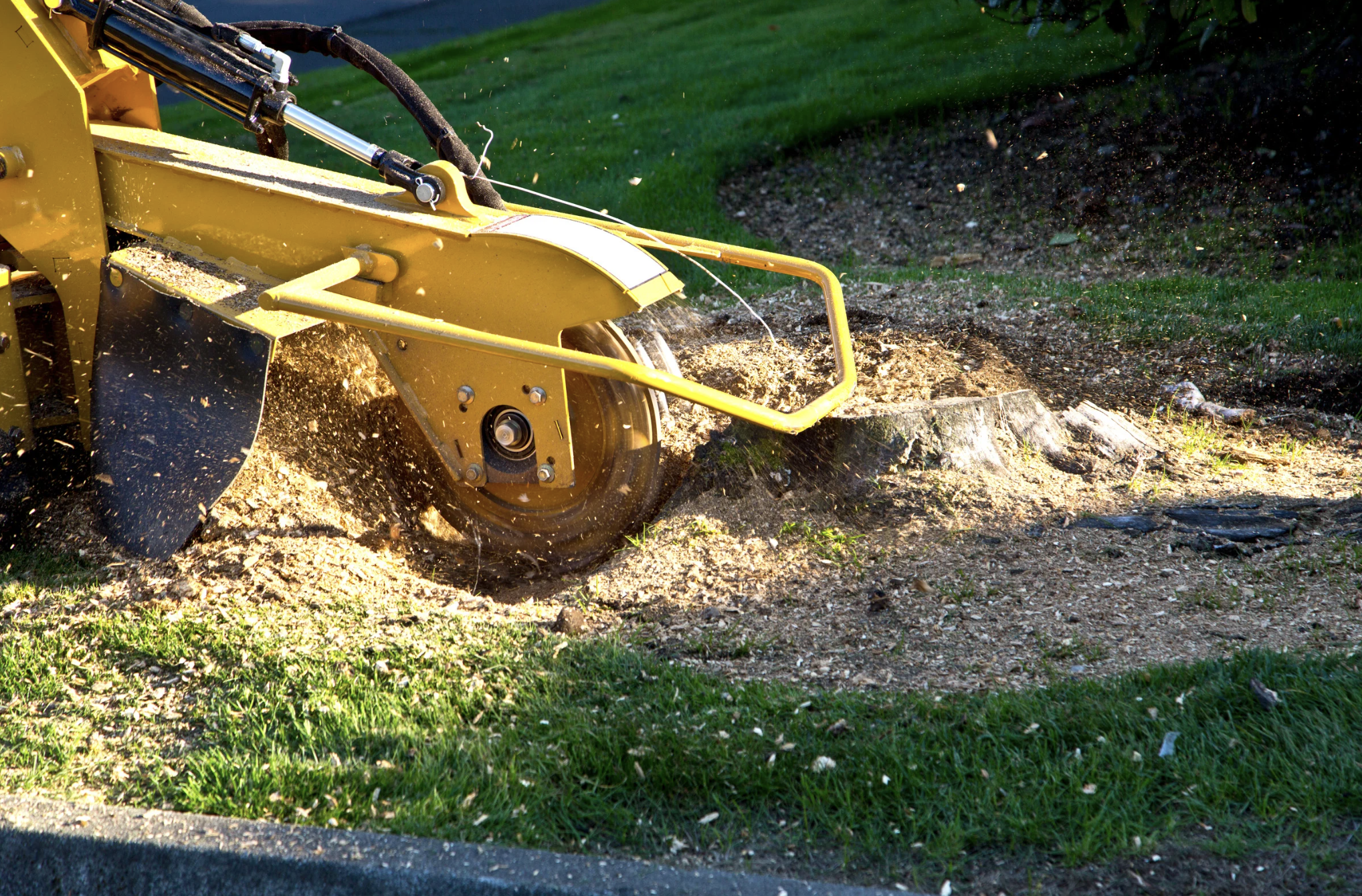A yellow street sweeper removing dirt and debris from a grassy area near a sidewalk in Medford, OR.