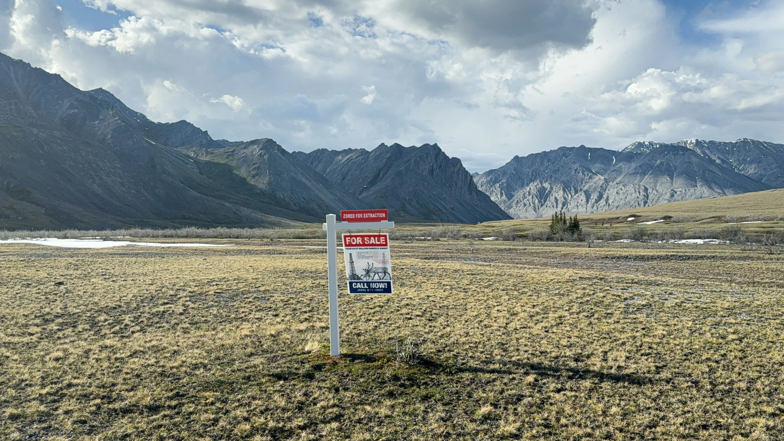 Not For Sale_Documentation_Arctic1.jpg