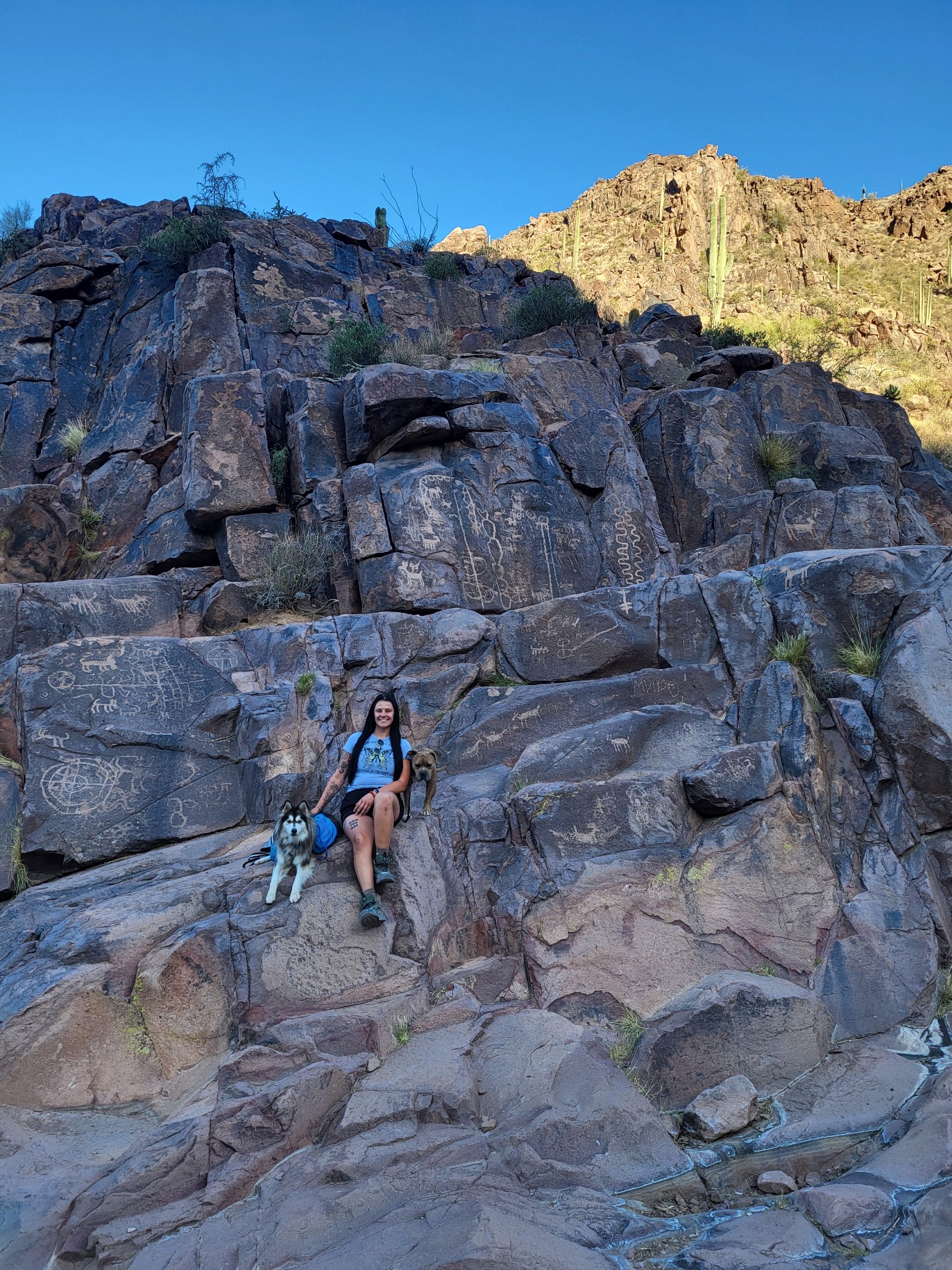 A woman sitting on rocks in a desert landscape with pet dogs, surrounded by rocky terrain and cacti under a clear blue sky.
