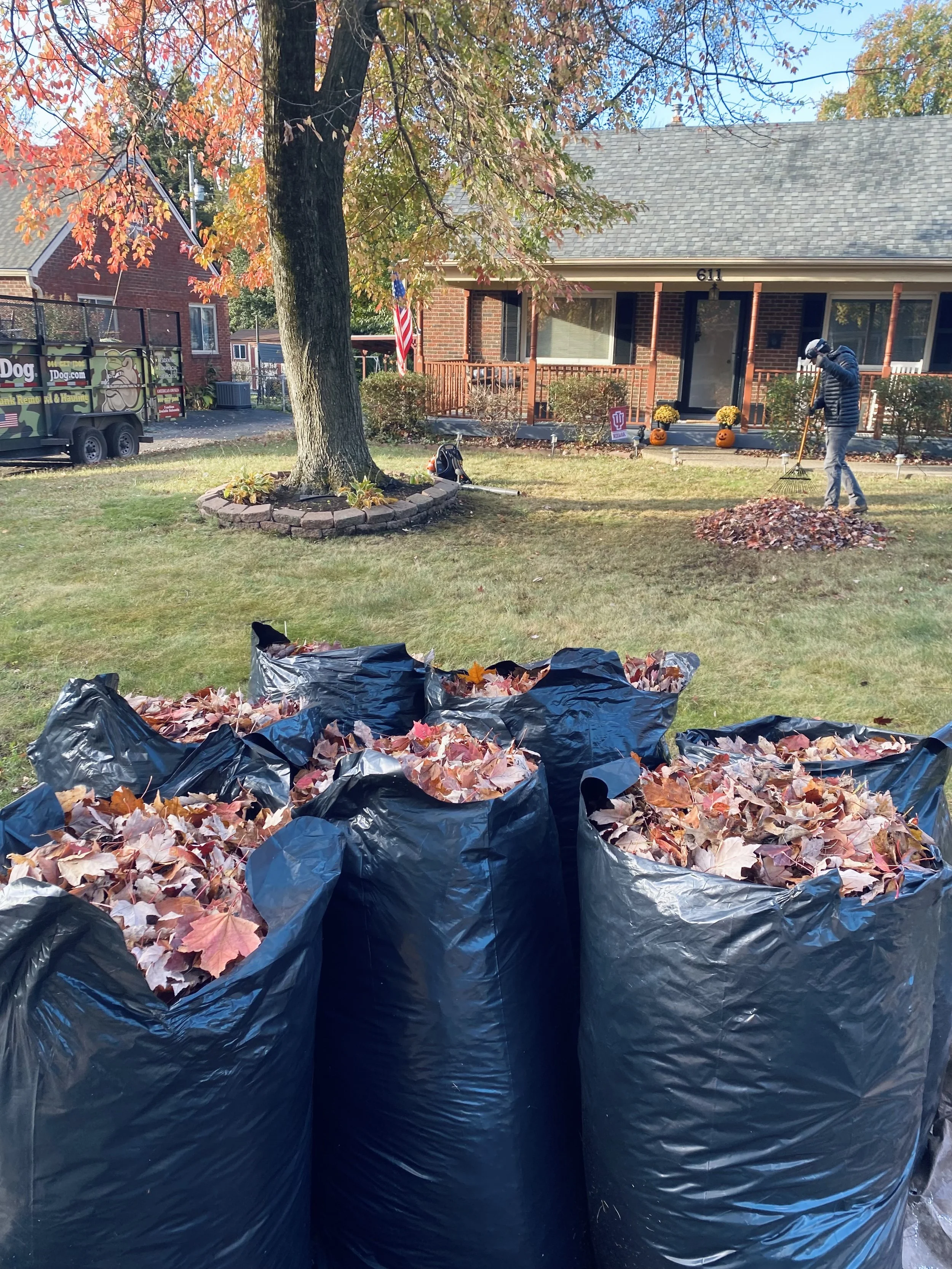 Large black trash bags filled with fallen autumn leaves, placed in front of a house with a front porch decorated for fall, featuring pumpkins and mums. A man is raking leaves in the yard beneath a large tree with red and orange leaves, in a suburban neighborhood.
