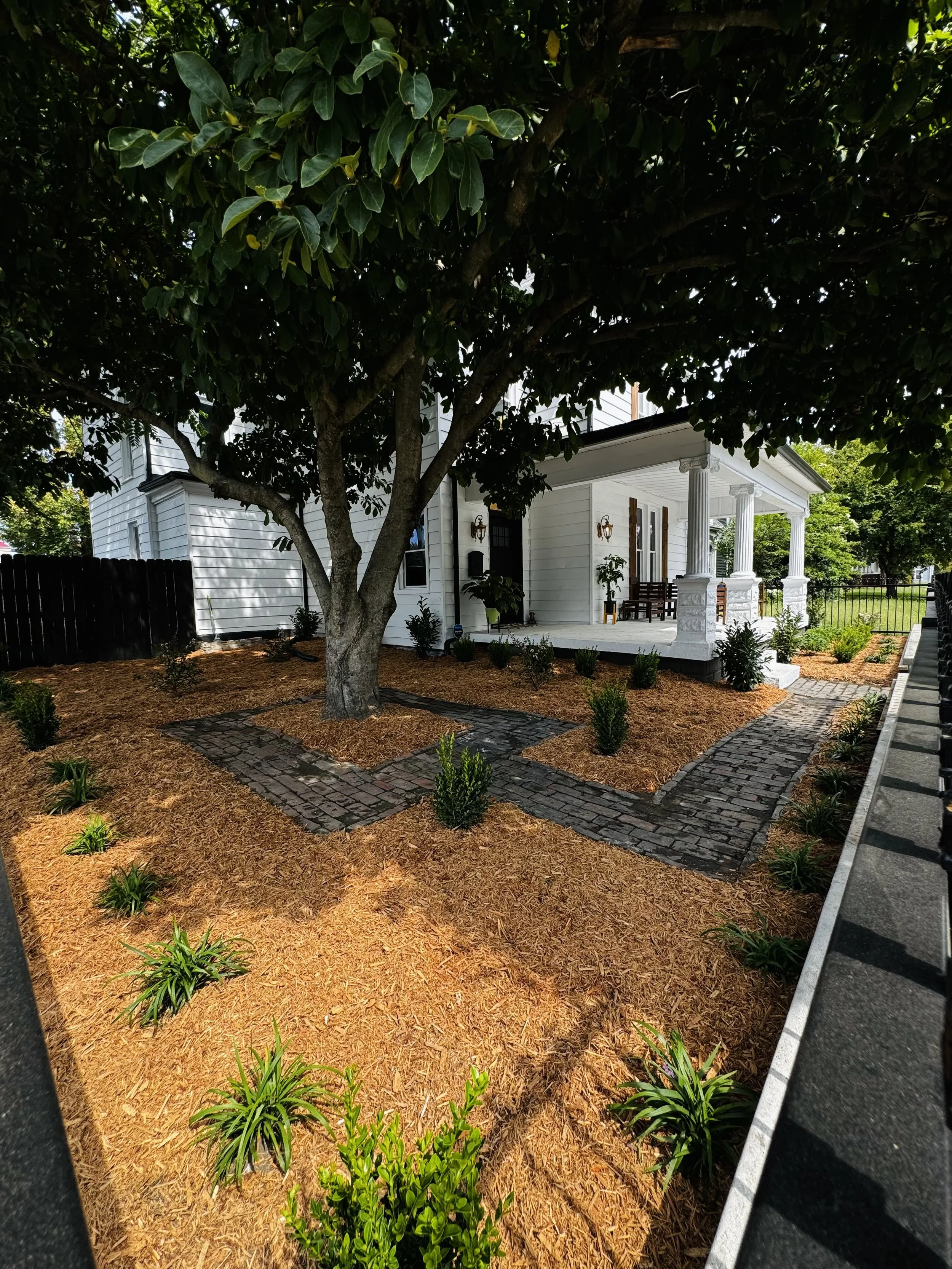 Front yard of a white house with a porch, surrounded by a landscaped garden with mulch, small bushes, and a large tree with a full canopy of green leaves, bordered by a stone pathway.