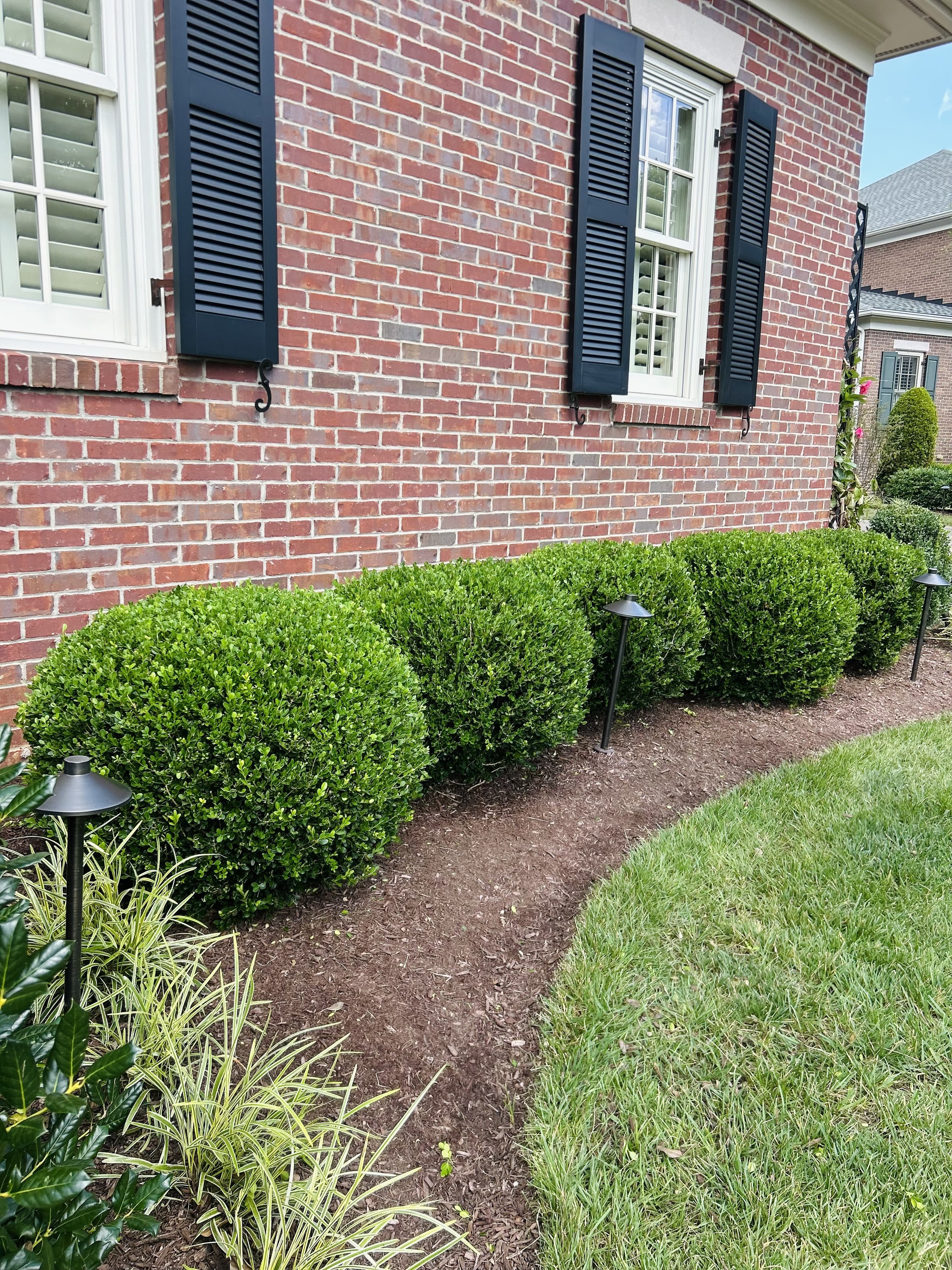Well-maintained brick house exterior with two white-framed windows with blue shutters, neatly trimmed green bushes, and small outdoor pathway with black landscape lights.