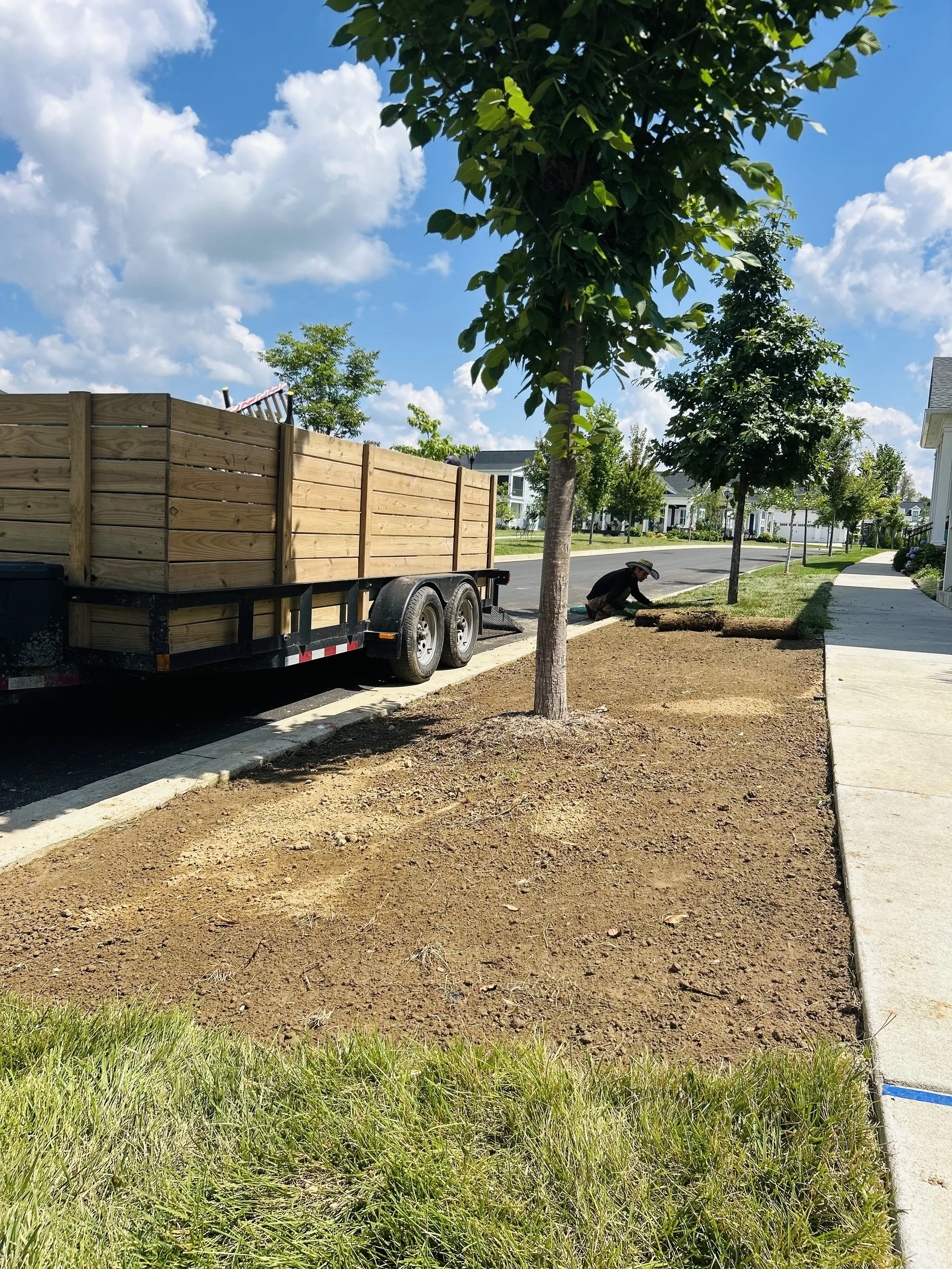 A worker planting a new tree in a landscaped yard next to a sidewalk, with a trailer full of wooden fencing panels and a bright blue sky with clouds overhead.