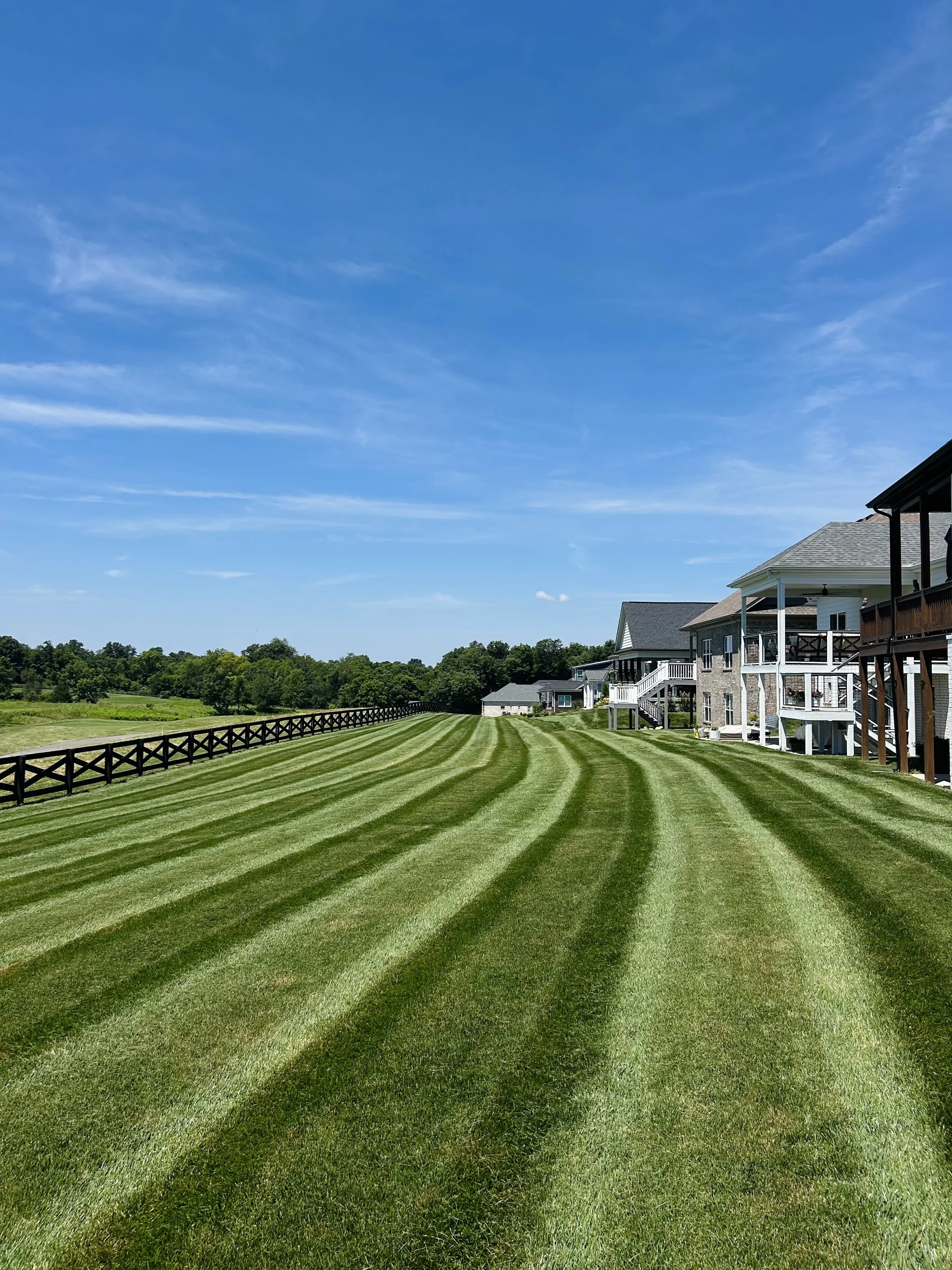 A neatly mowed lawn with striped grass, next to a row of houses with porches and stairs, under a clear blue sky.