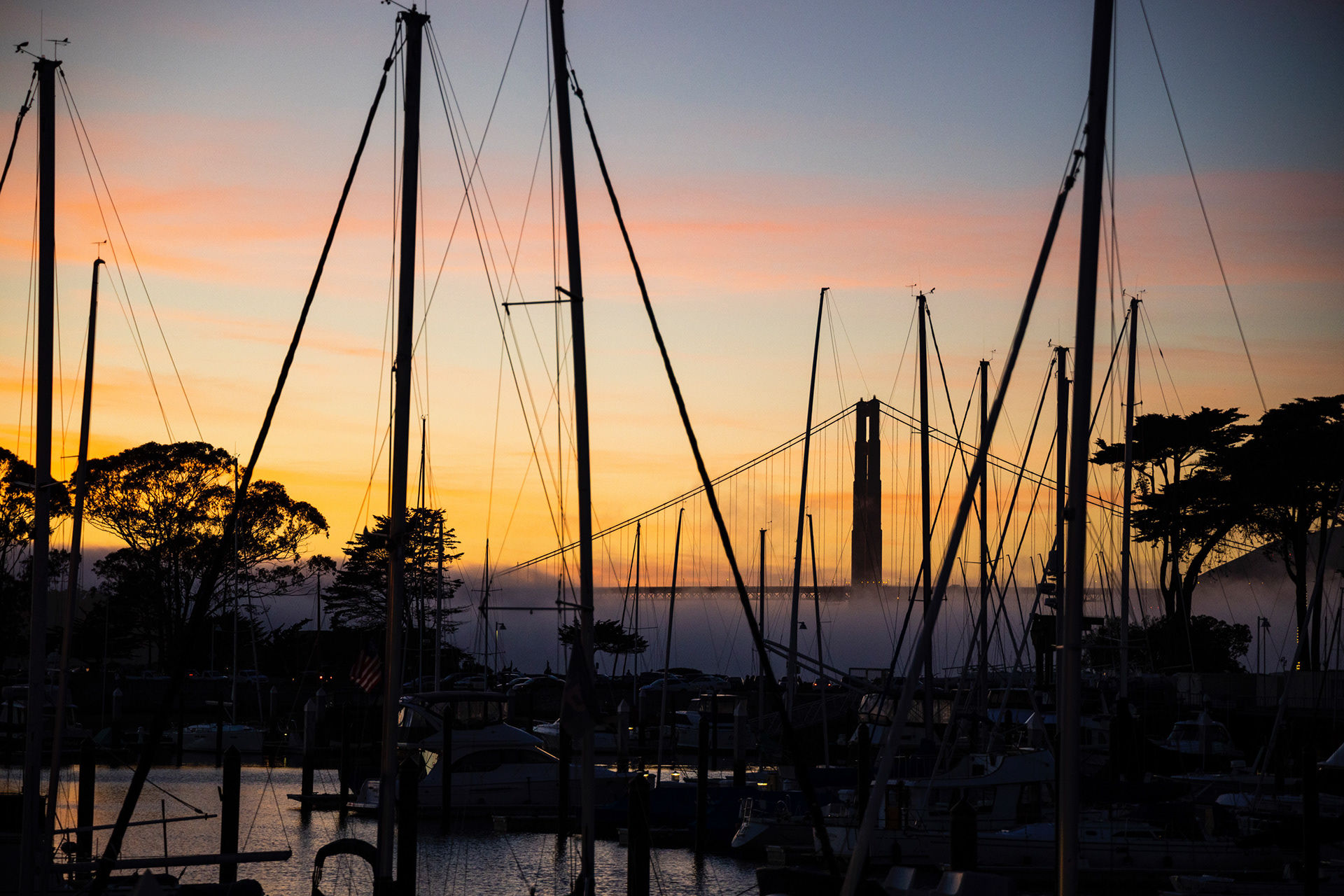 San Francisco #1. The first in a multitude of visual aromas from the Golden City, pre and post Covid. By Leo Kalotihos. For Leo, San Francisco is a safe space.