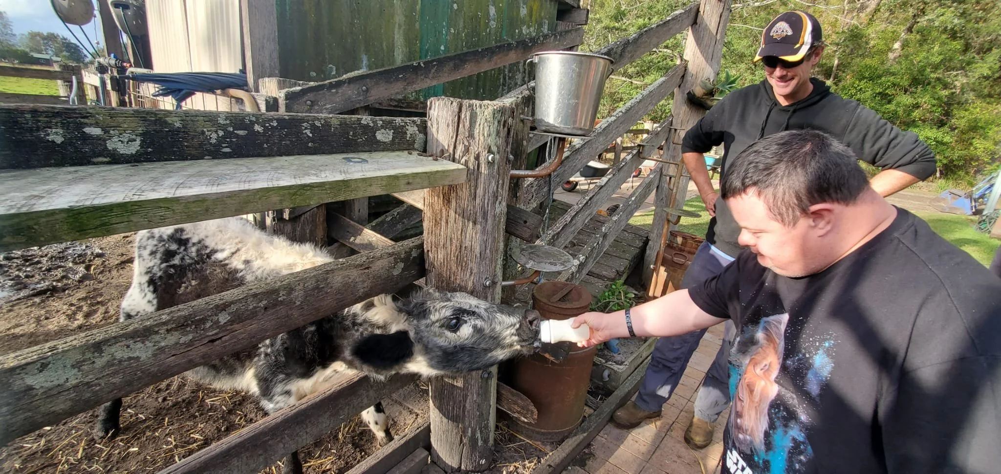 A participant feeding a bottle to a cow through a fence at a farm
